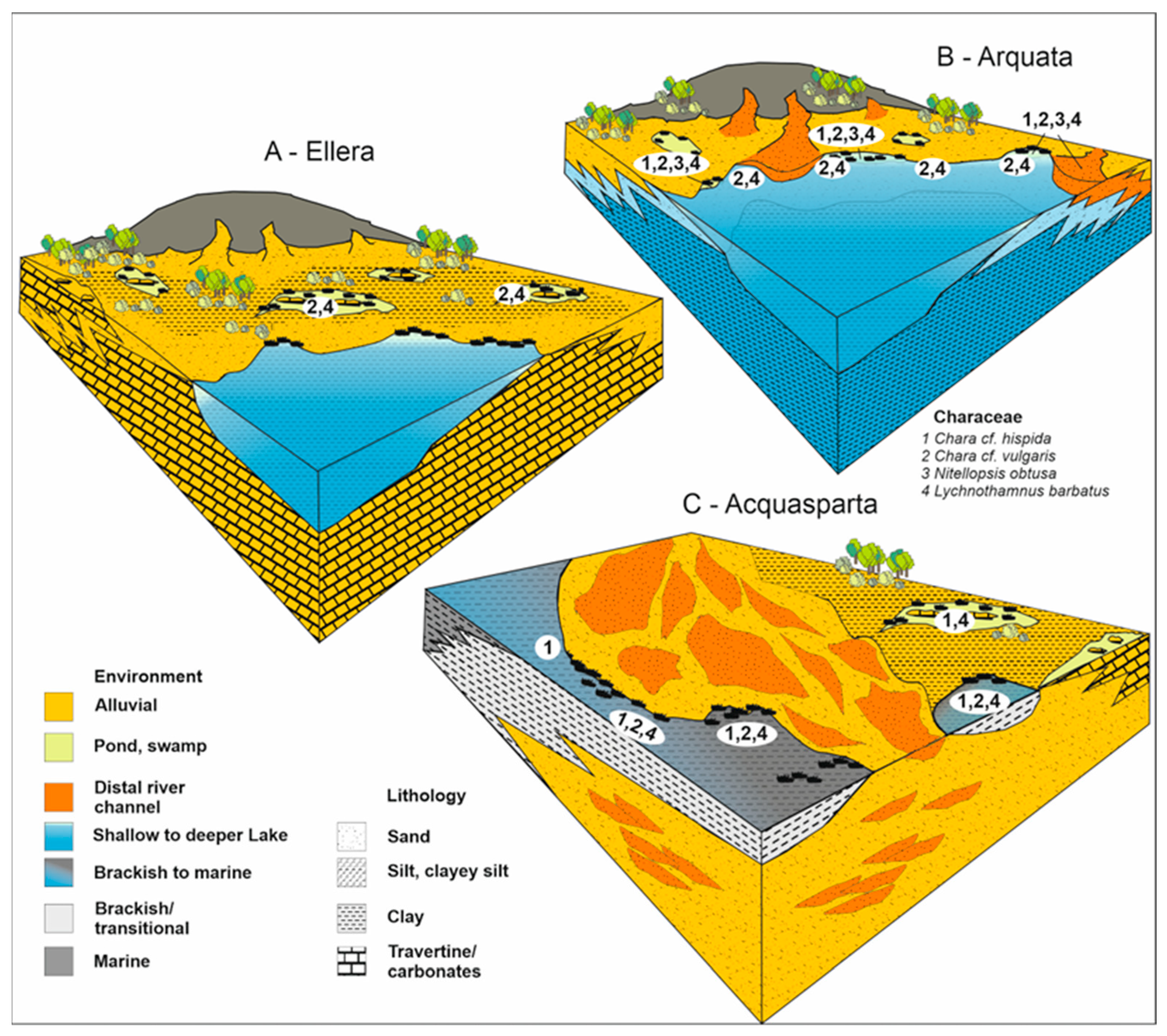 Geosciences 15 00392 g008 Geosciences 15 00392 g008