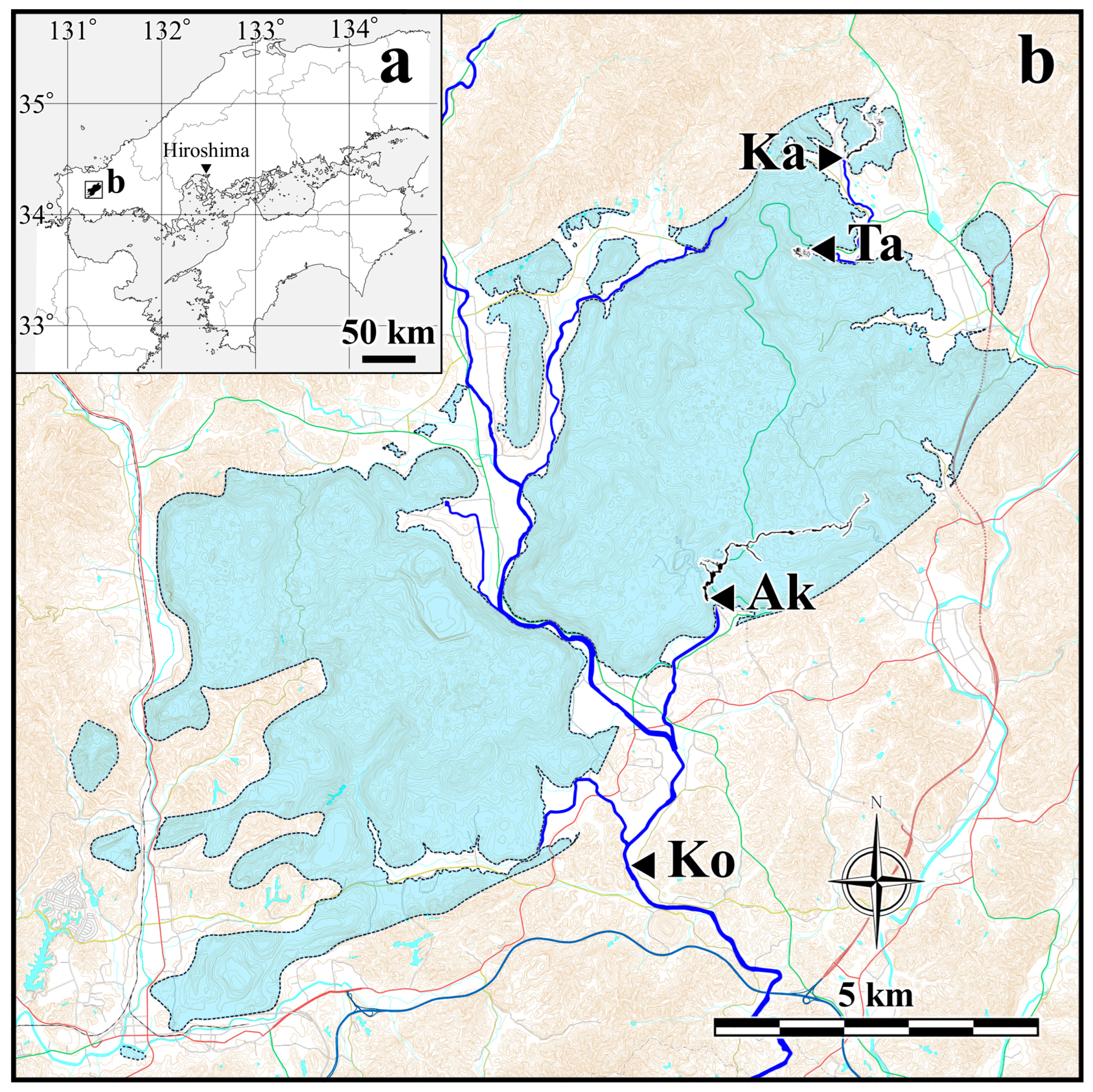 Geosciences 15 00393 g008