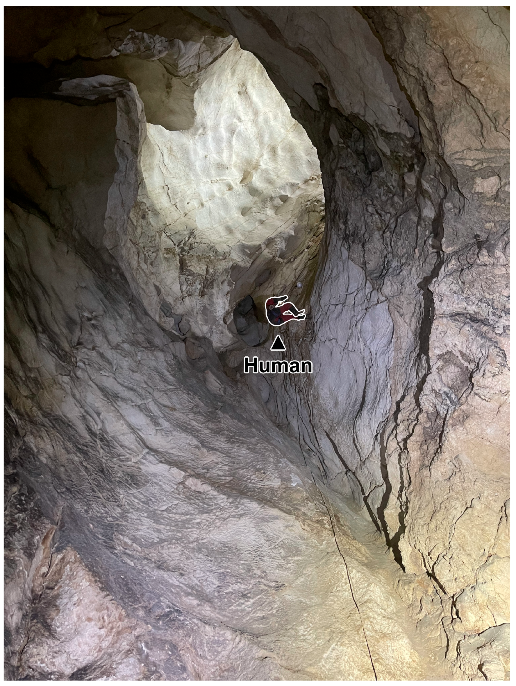 Geosciences 15 00393 g012