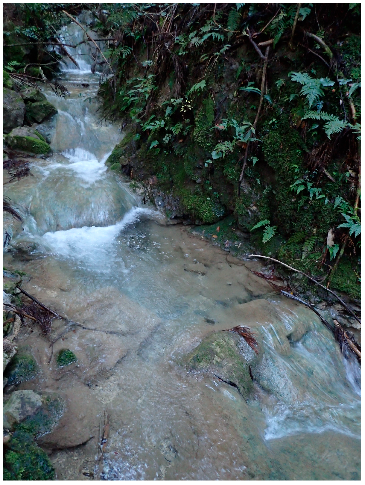 Geosciences 15 00393 g021