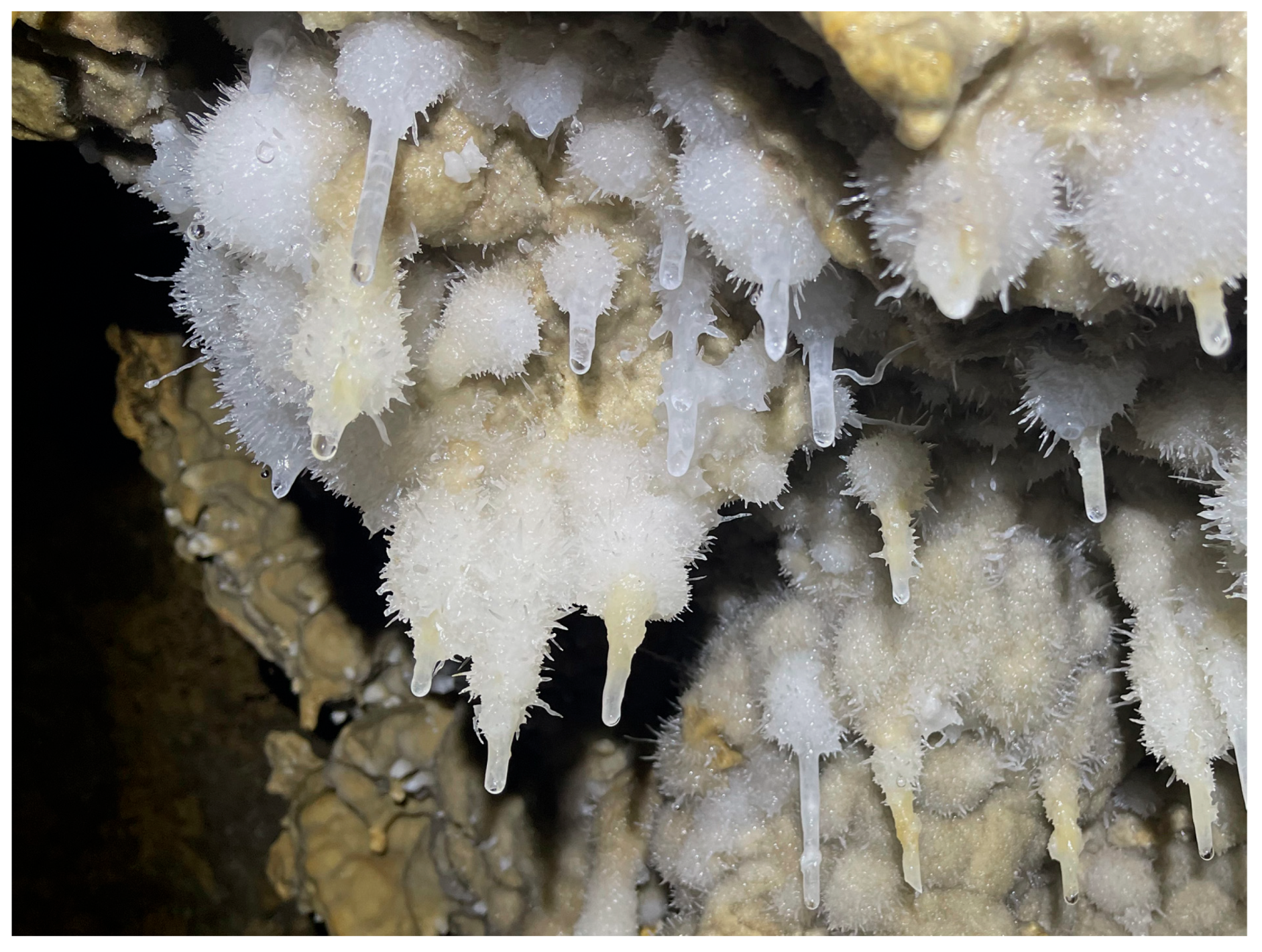 Geosciences 15 00393 g028