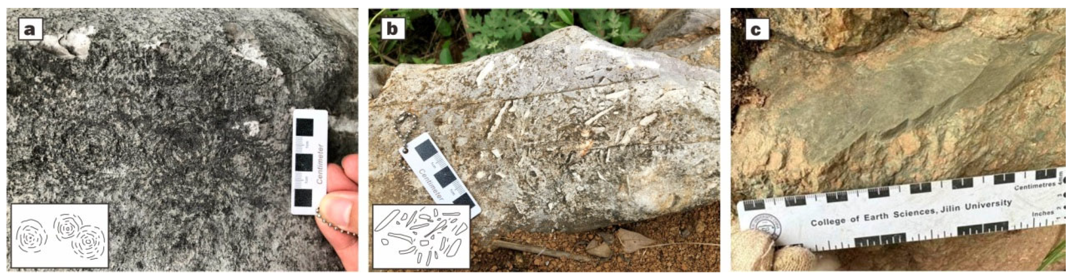 Geosciences 15 00394 g009