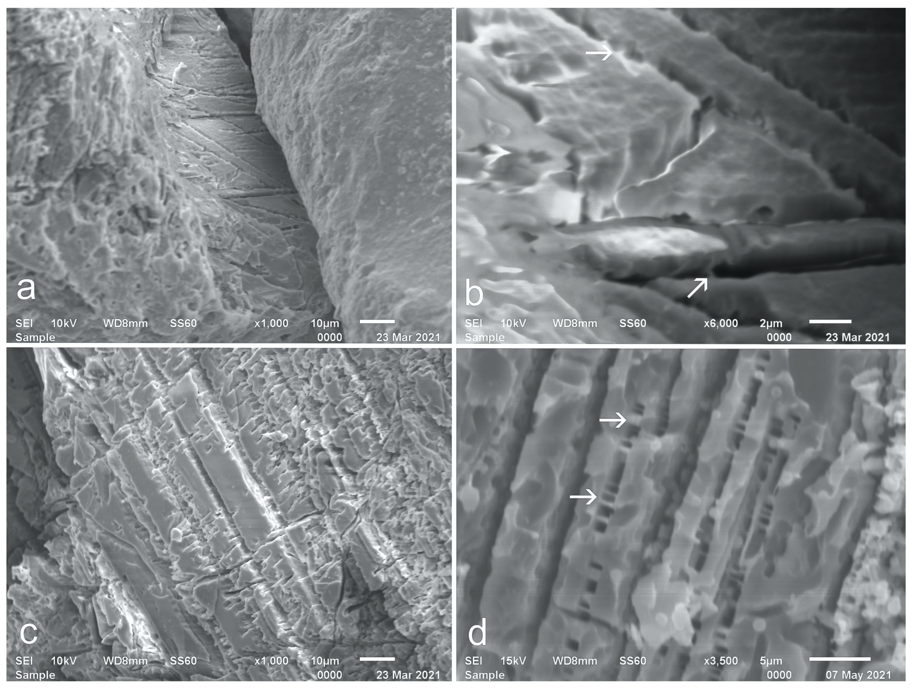 Geosciences 15 00400 g004 Geosciences 15 00400 g004