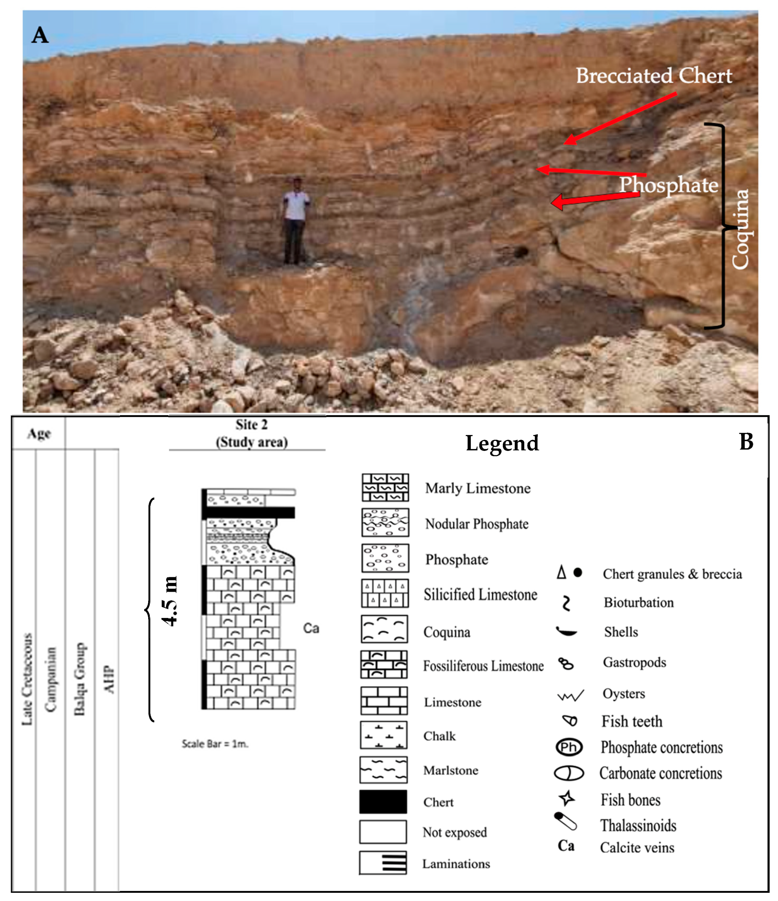 Geosciences 15 00433 g004