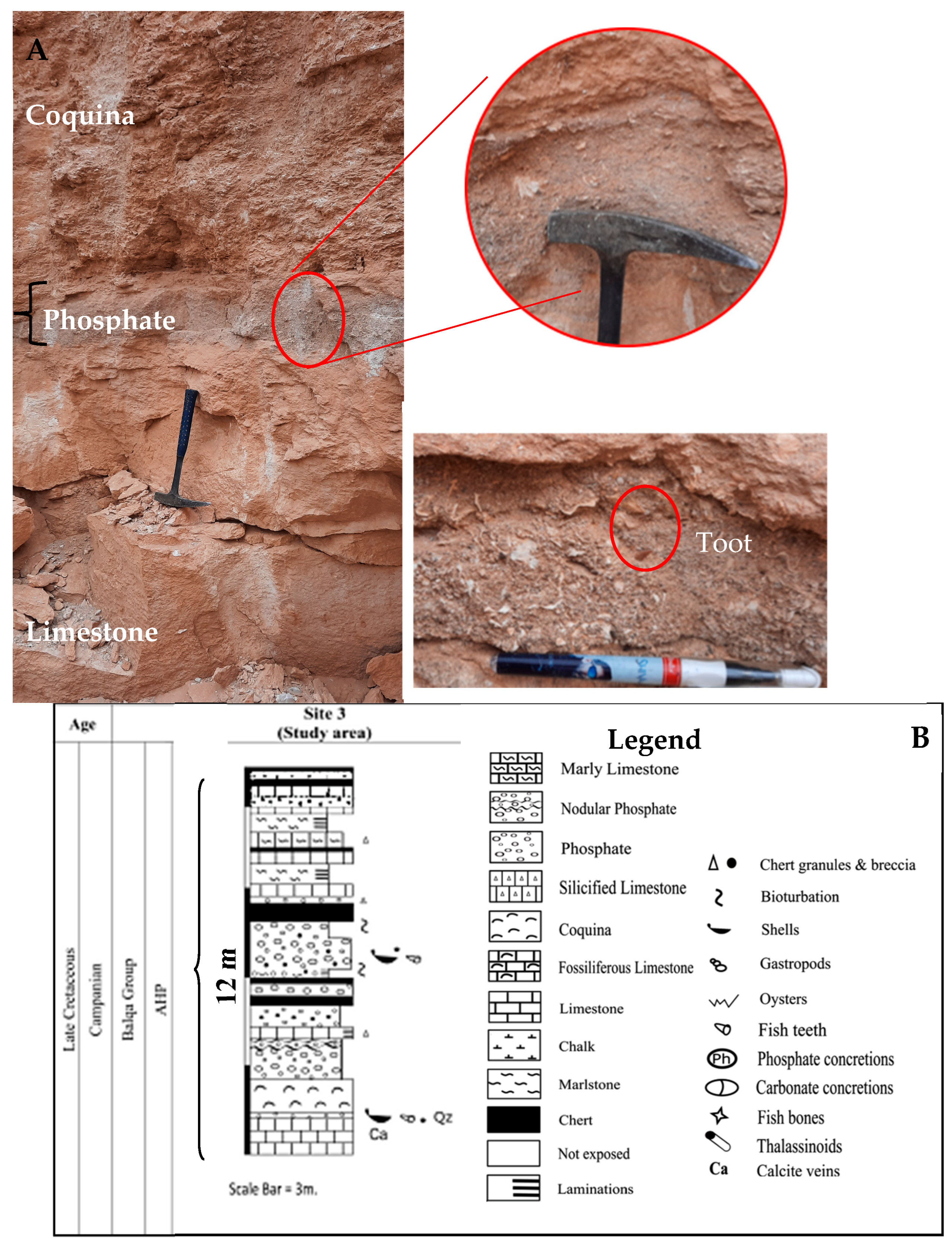 Geosciences 15 00433 g005