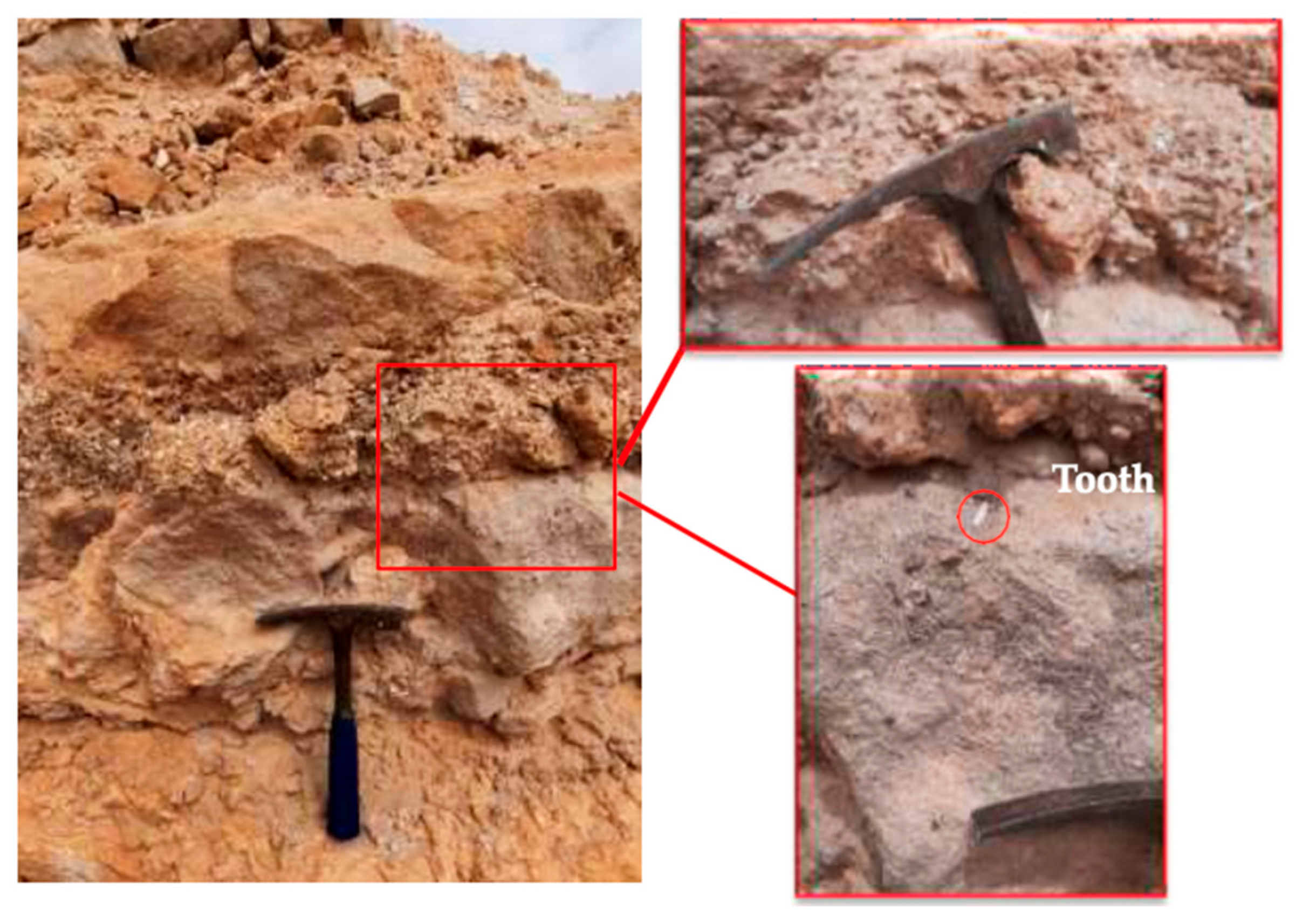 Geosciences 15 00433 g007