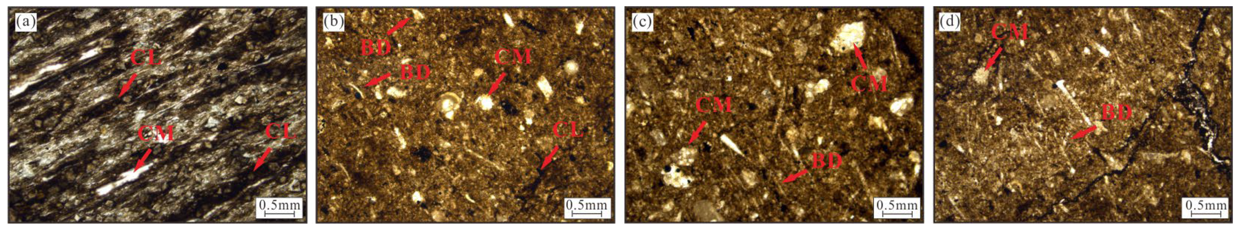 Geosciences 15 00442 g005