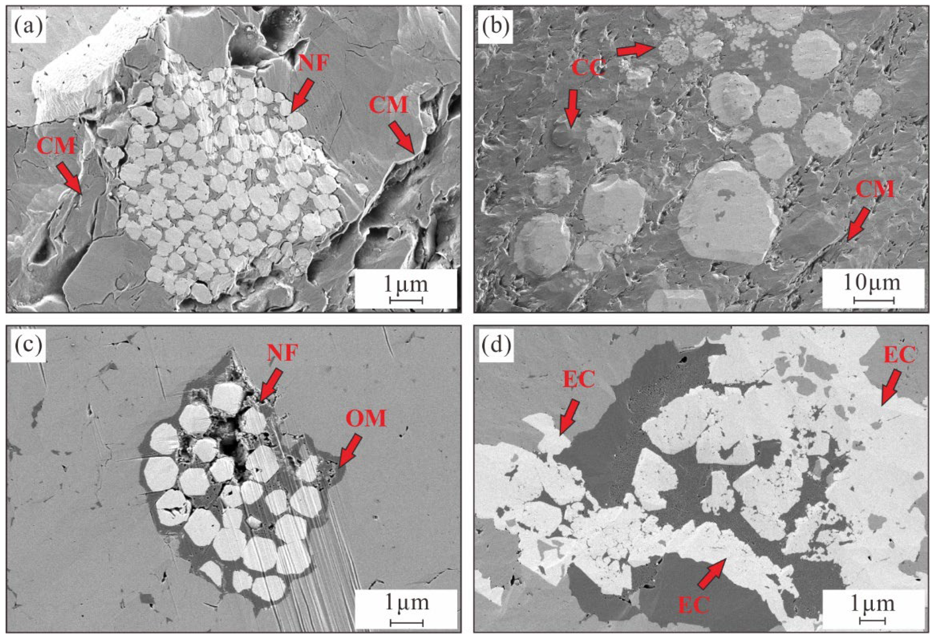 Geosciences 15 00442 g007