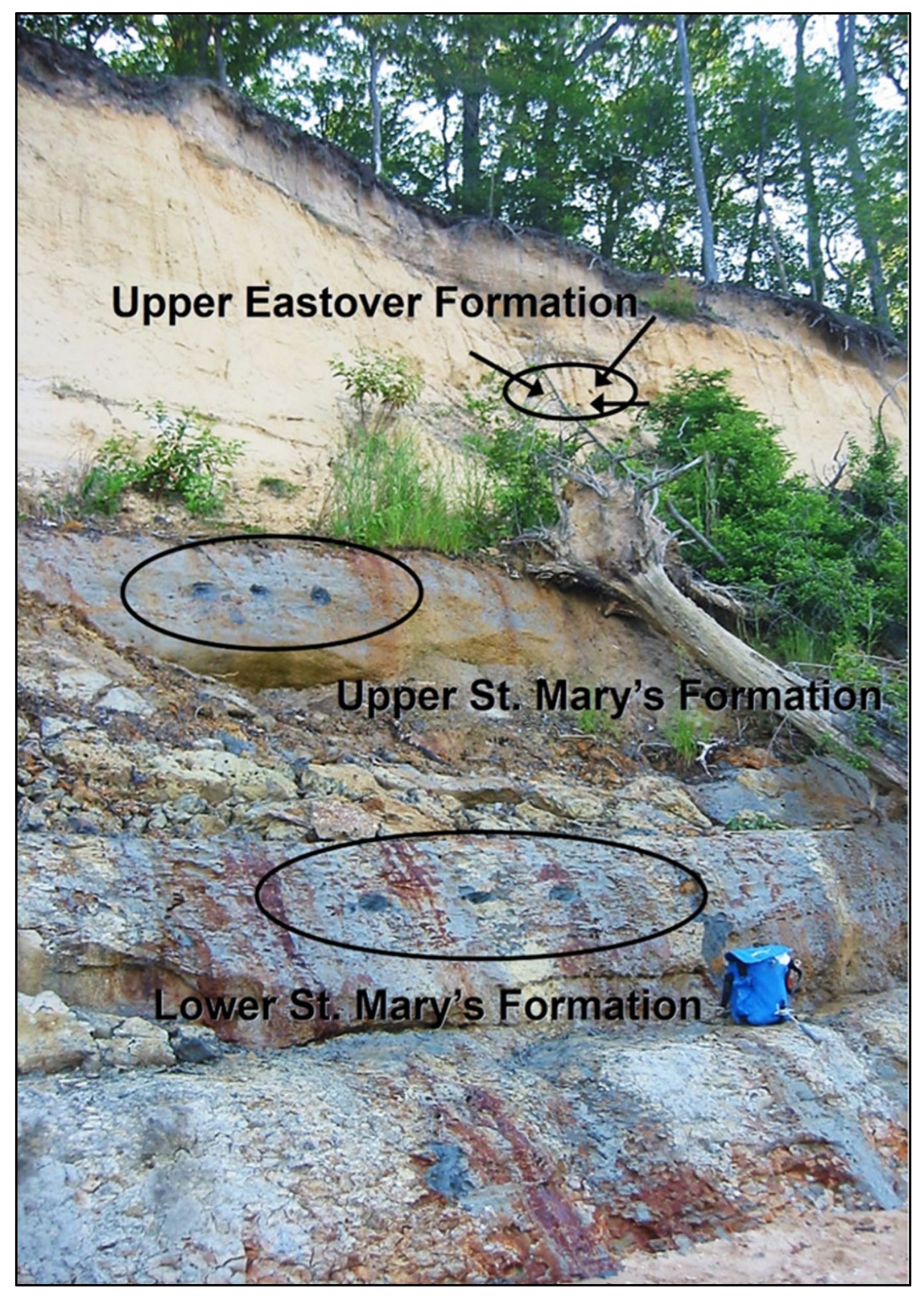 Geosciences 15 00444 g003 Geosciences 15 00444 g003