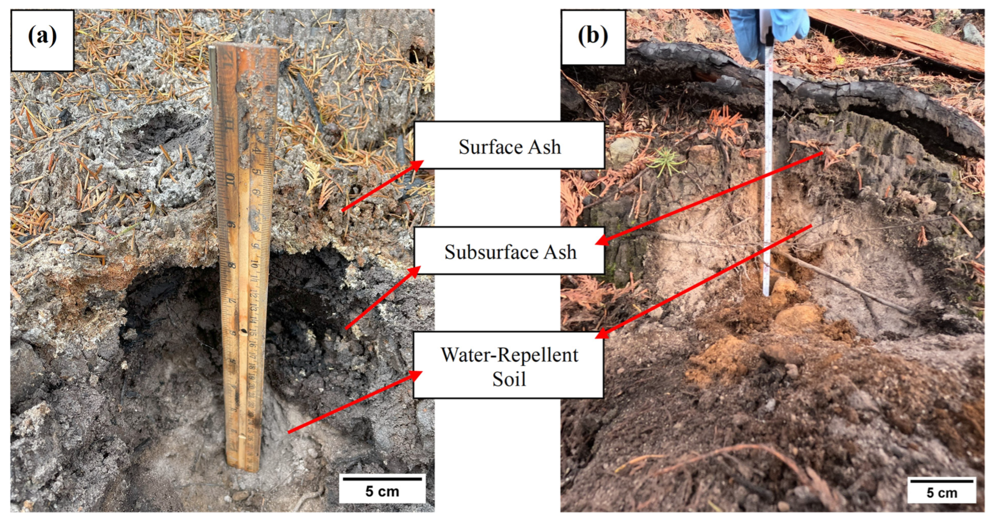 Geosciences 15 00472 g002 Geosciences 15 00472 g002