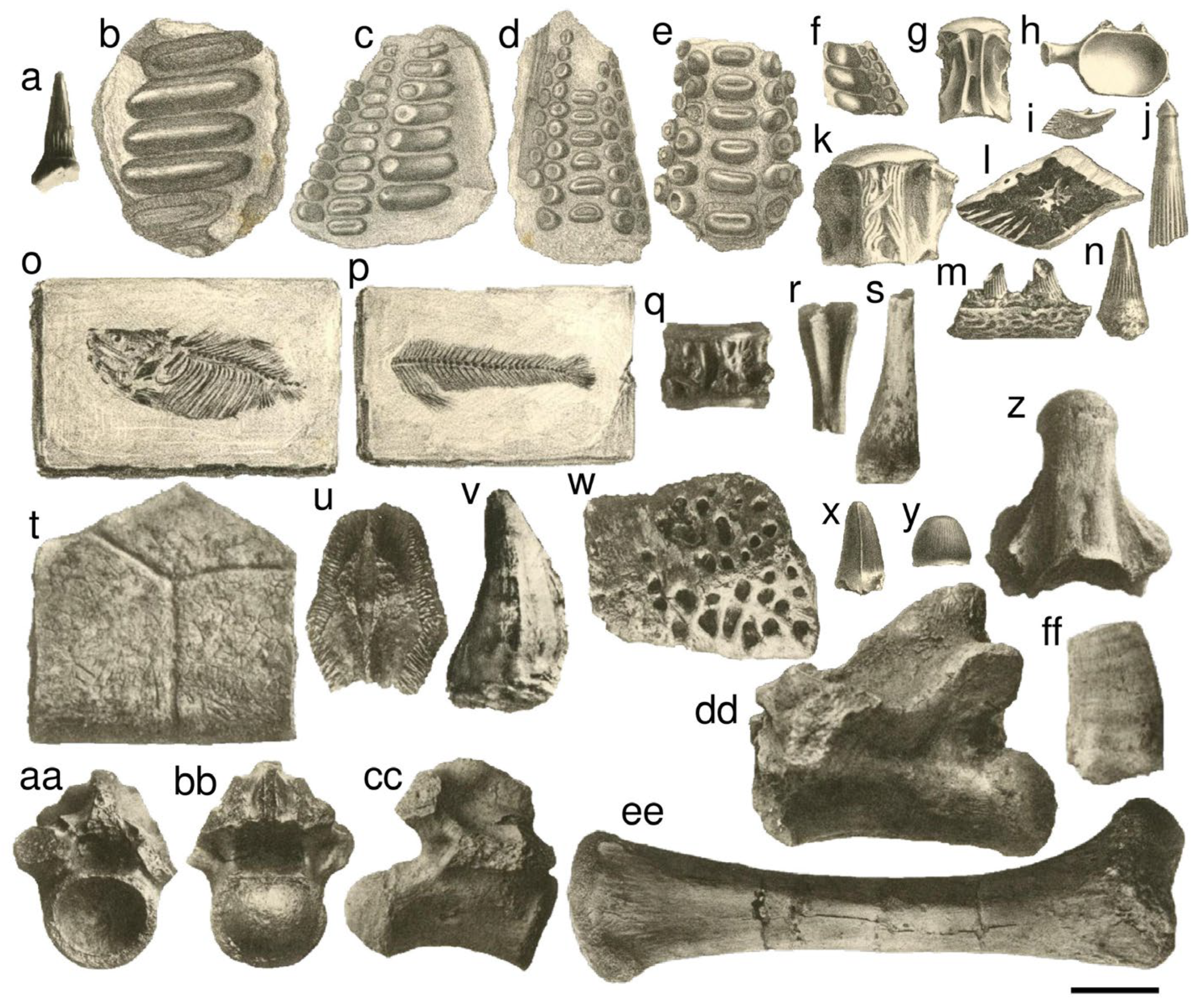Geosciences 15 00477 g004 Geosciences 15 00477 g004