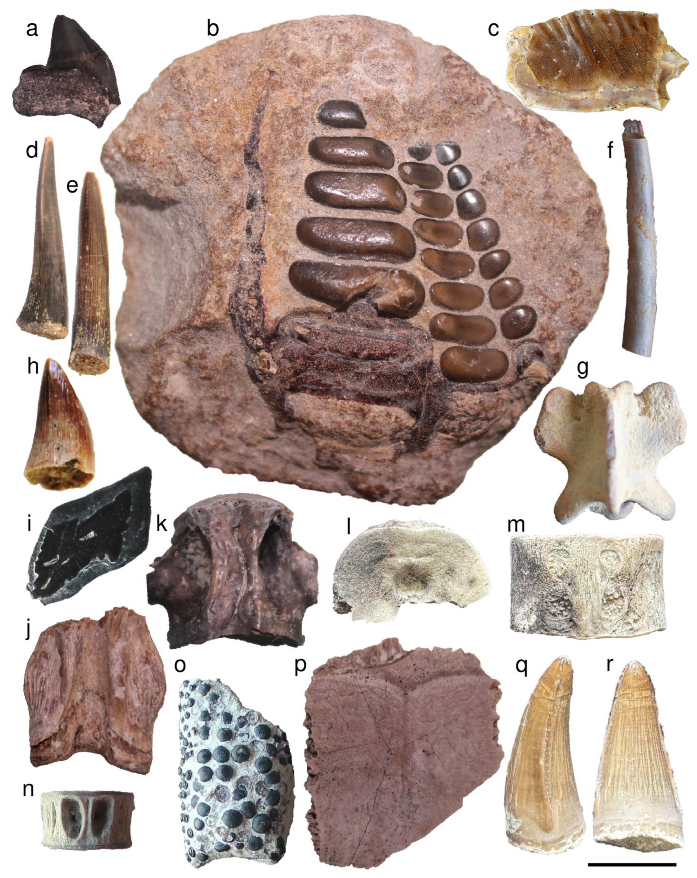 Geosciences 15 00477 g005 Geosciences 15 00477 g005