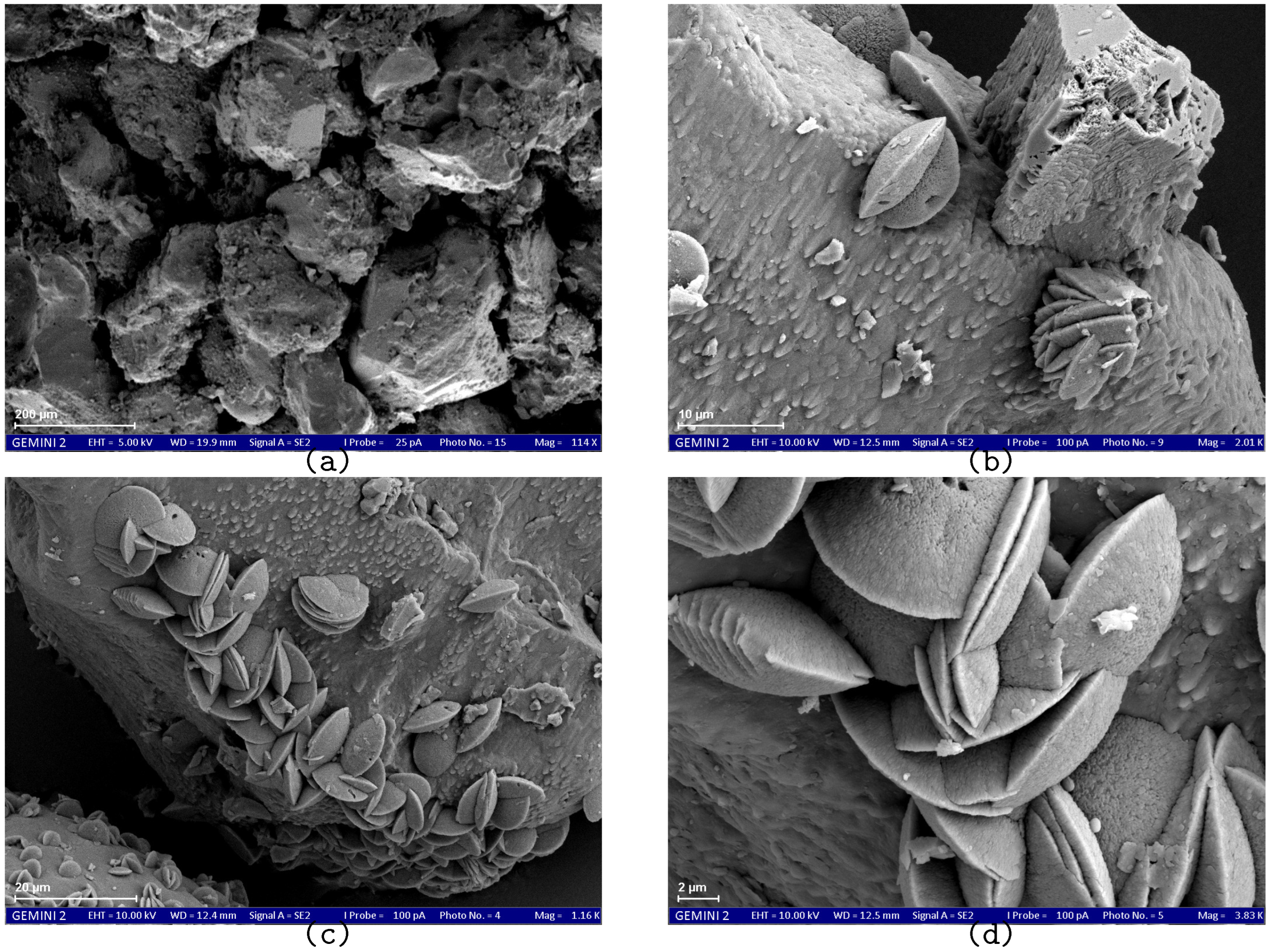 Geotechnics 03 00036 g016