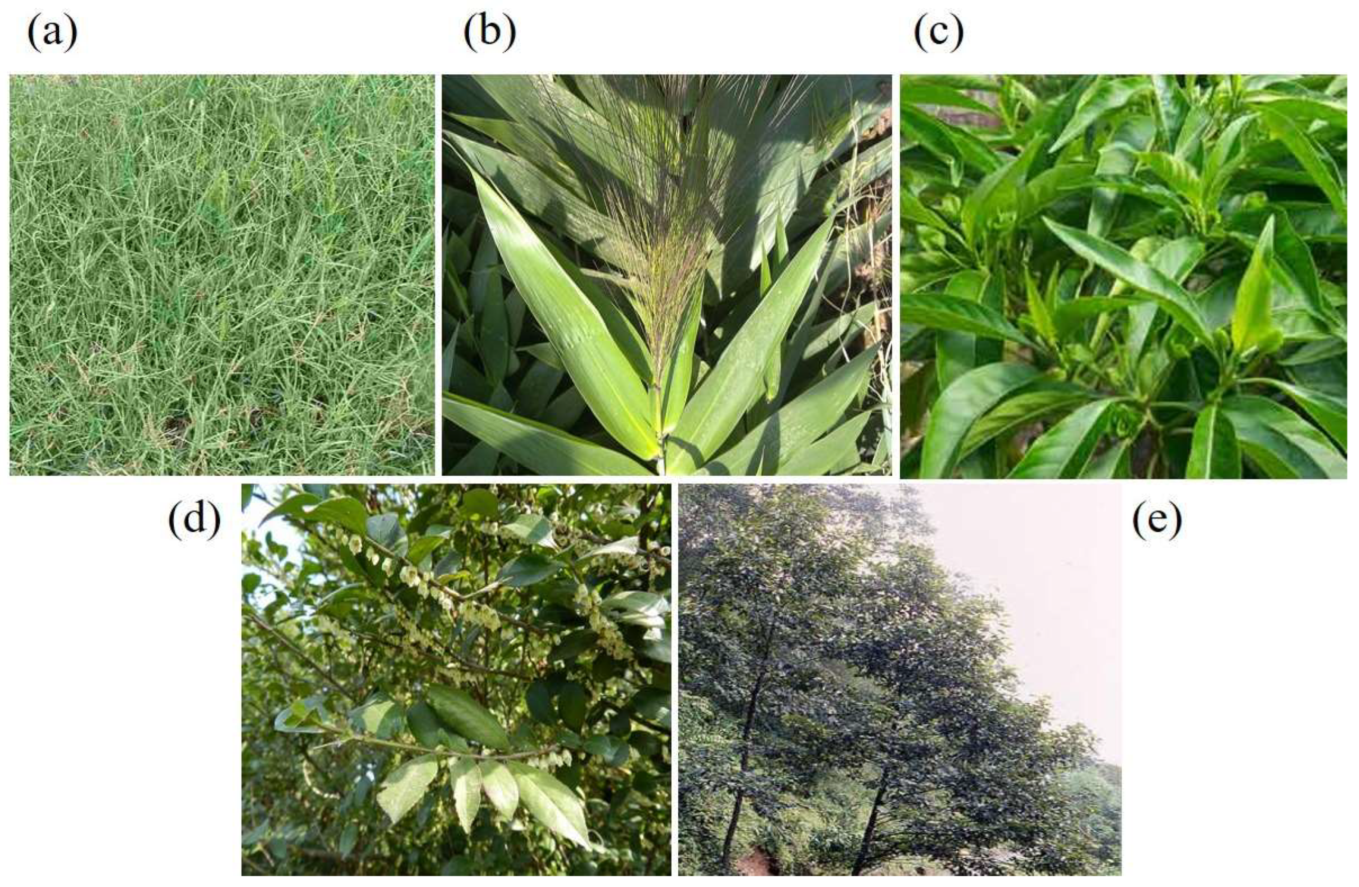 Geotechnics 04 00046 g007