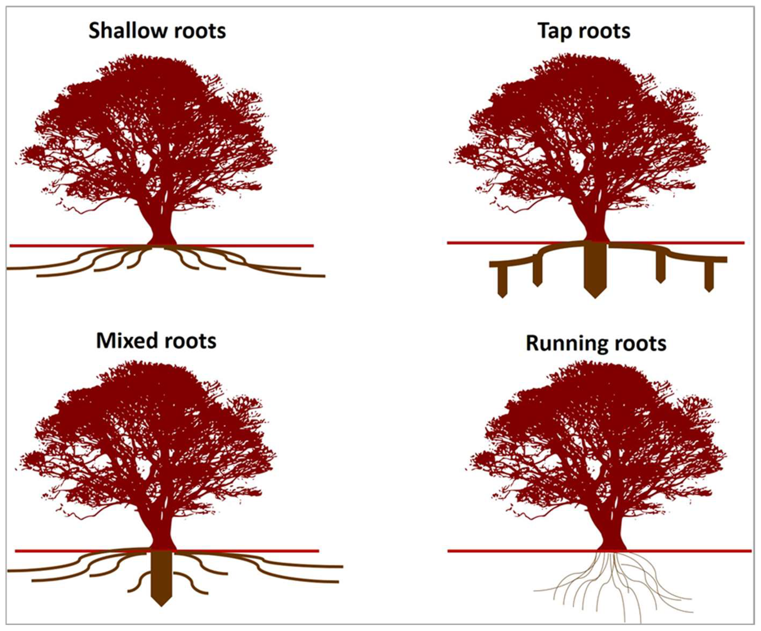 Geotechnics 05 00030 g001