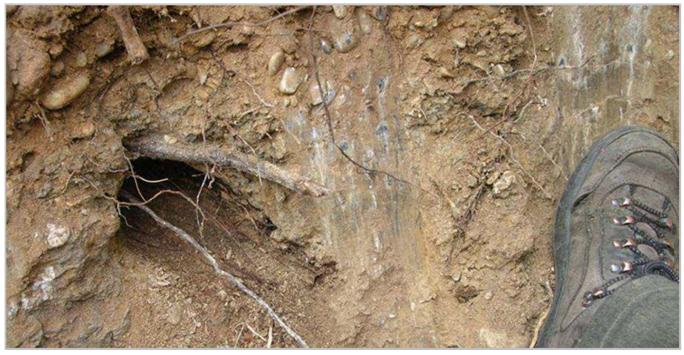 Geotechnics 05 00030 g004