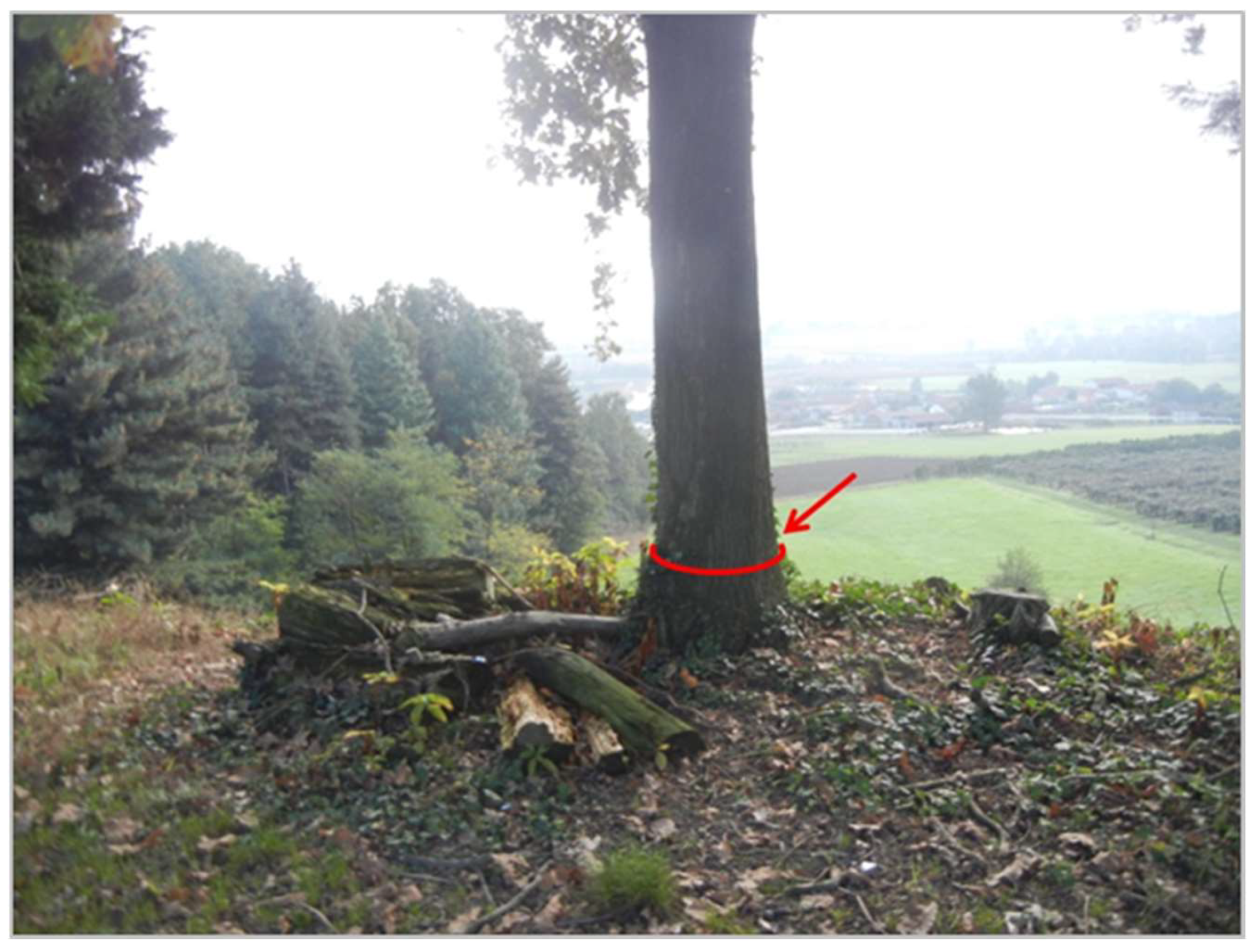 Geotechnics 05 00030 g010