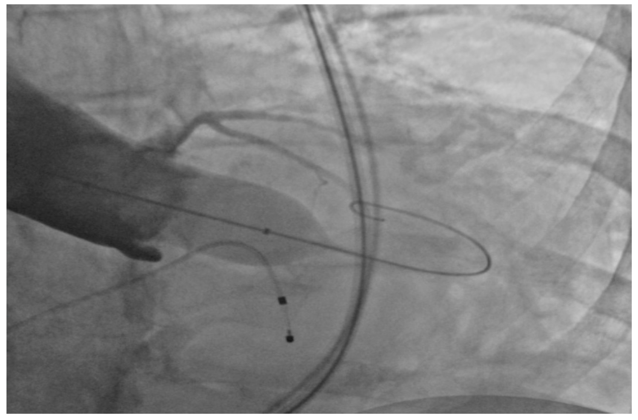 Geriatrics 02 00025 g001 550