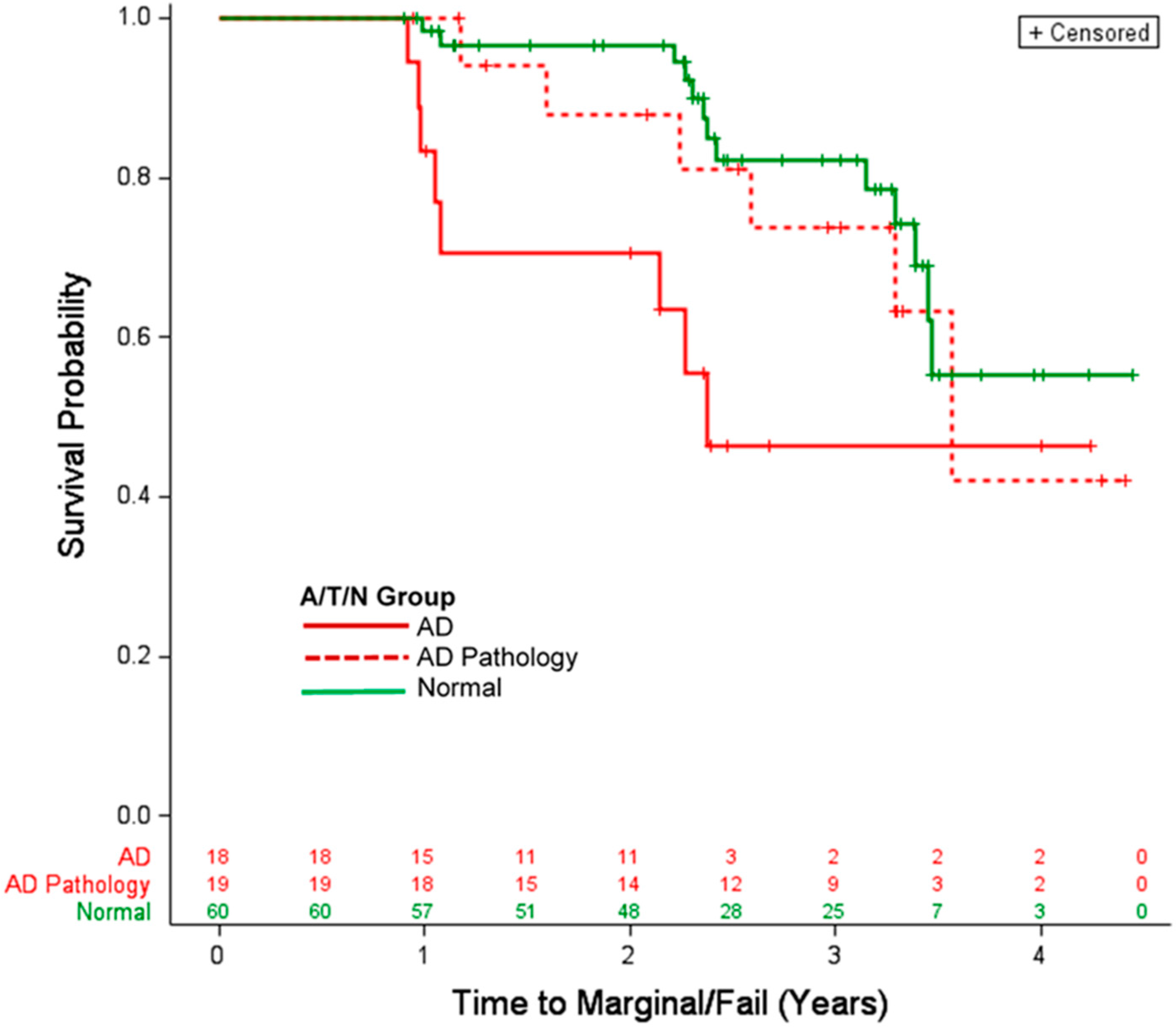 Geriatrics 03 00023 g001