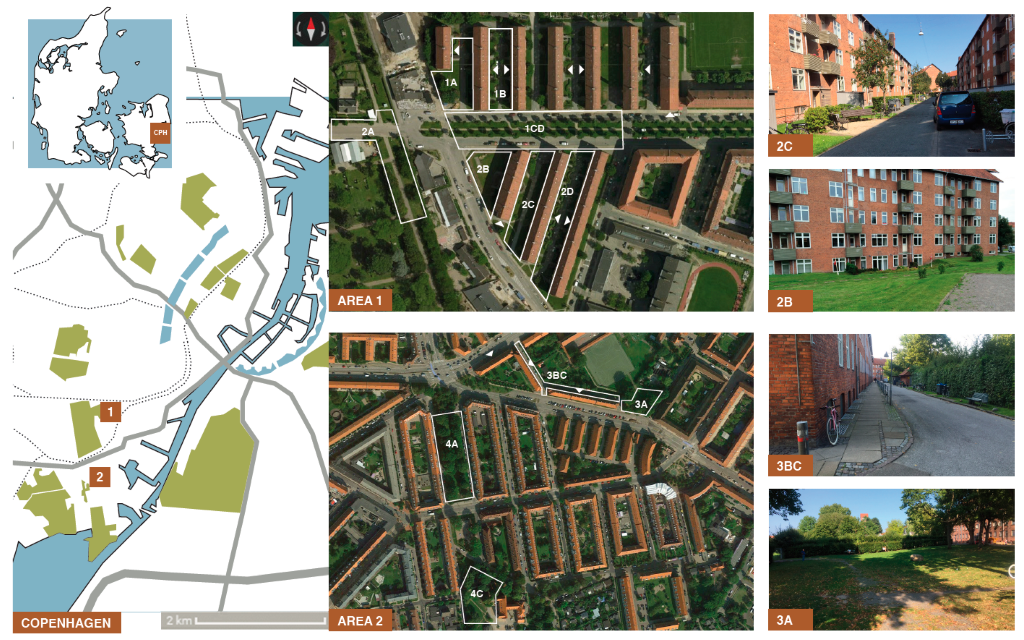 Geriatrics 04 00041 g001 Geriatrics 04 00041 g001
