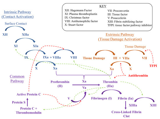 Geriatrics Free Full Text Review Of Therapeutic Options For