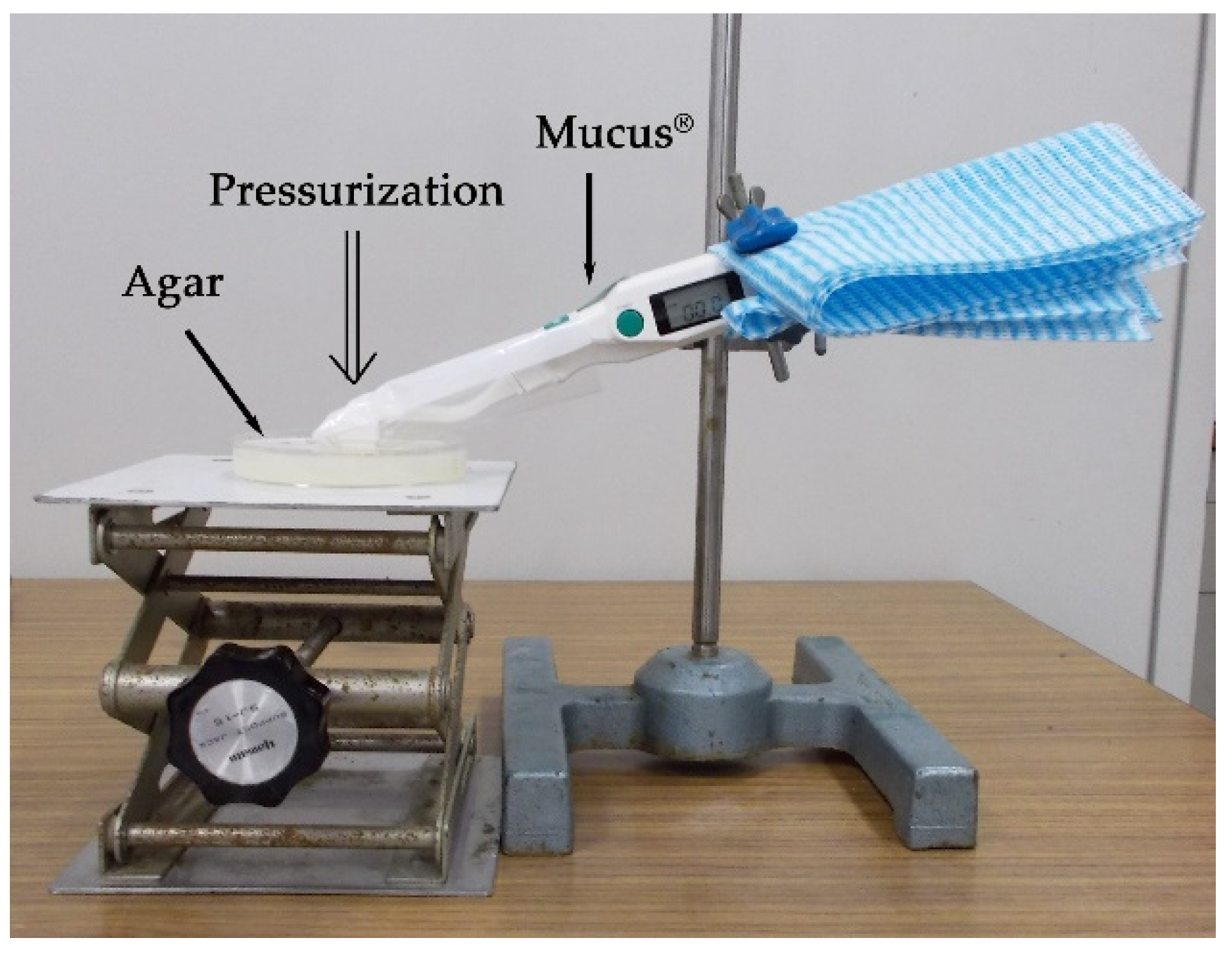 Geriatrics 05 00028 g002