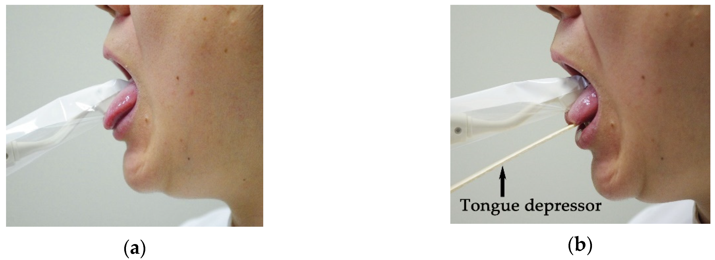 Geriatrics 05 00028 g003