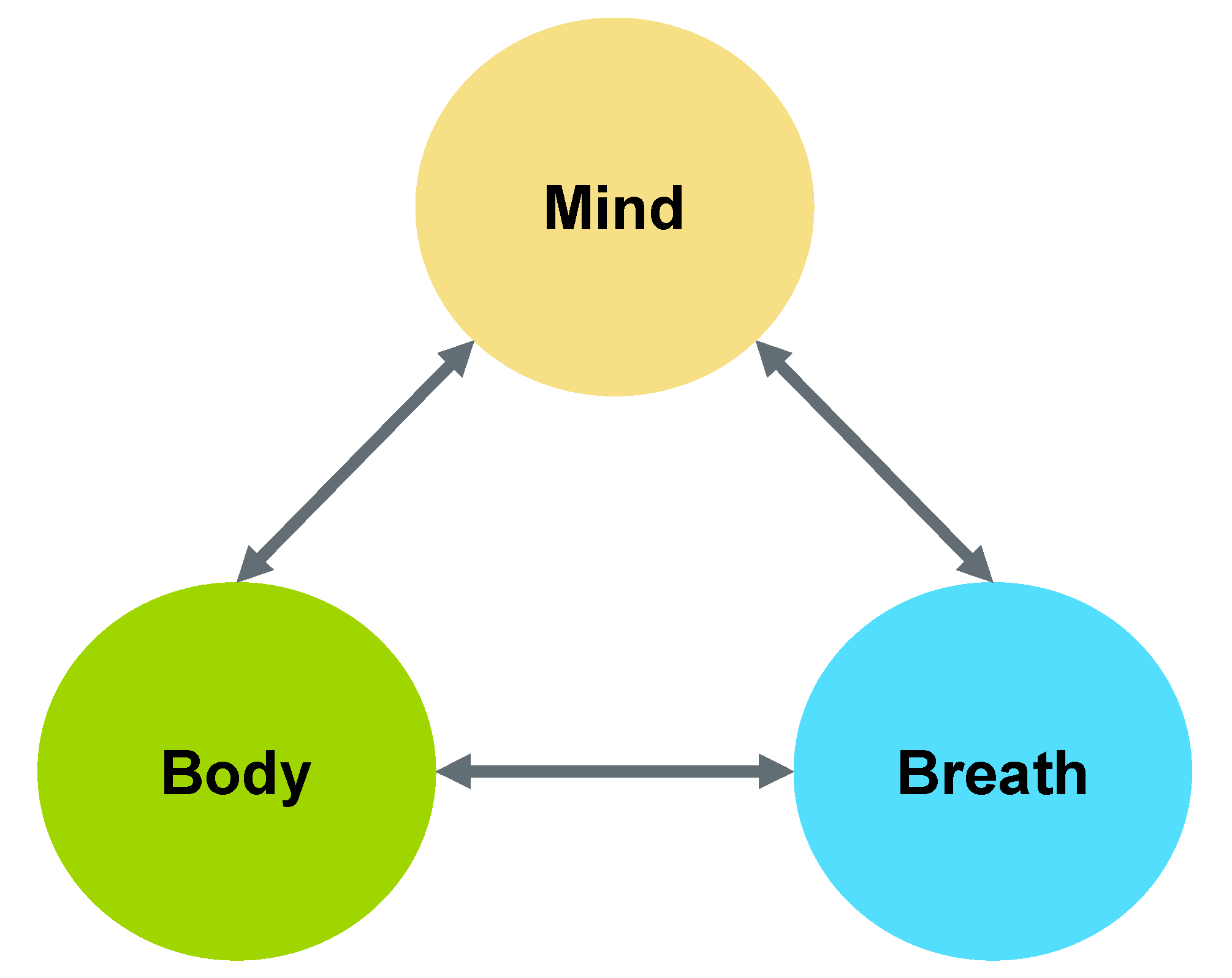 Geriatrics 05 00045 g001