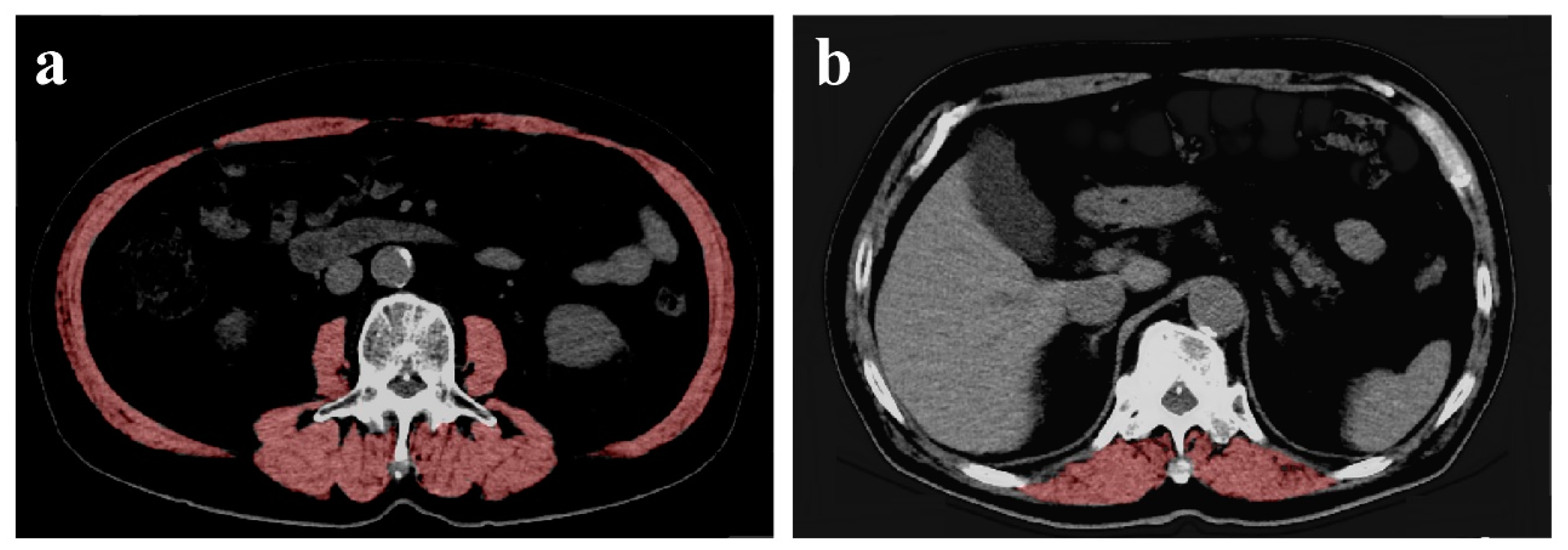 Geriatrics 05 00047 g001 Geriatrics 05 00047 g001