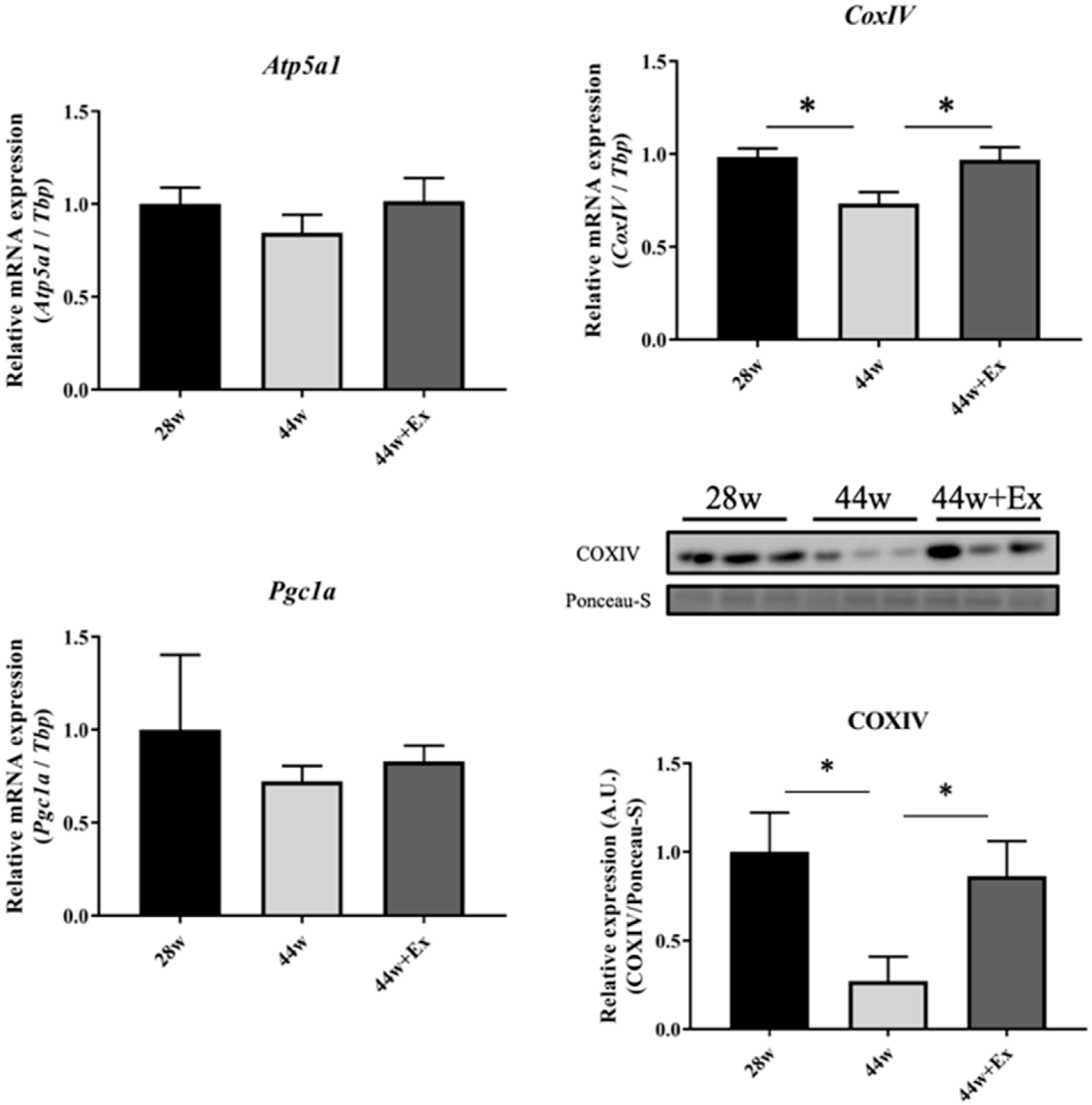 Geriatrics 05 00048 g005