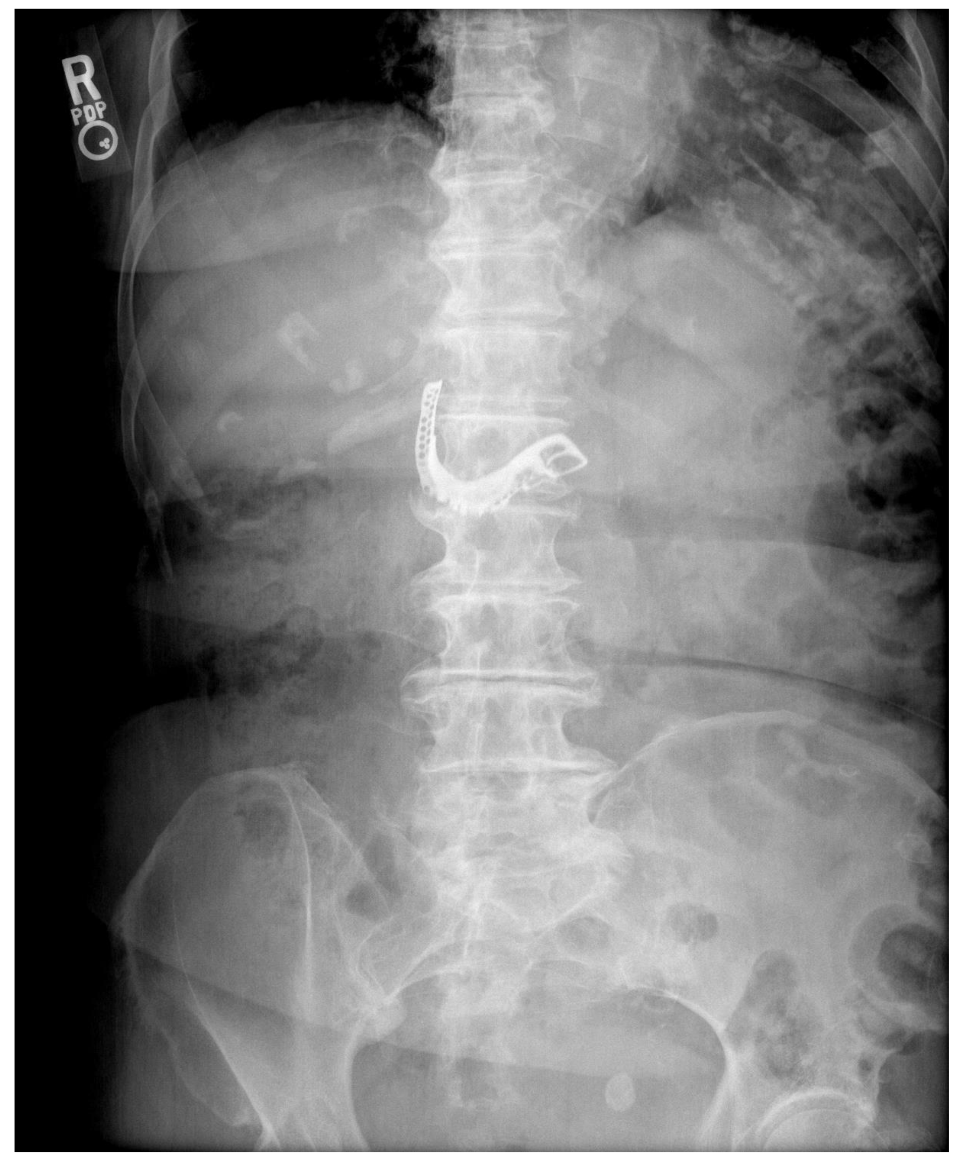 Geriatrics 05 00049 g001 Geriatrics 05 00049 g001