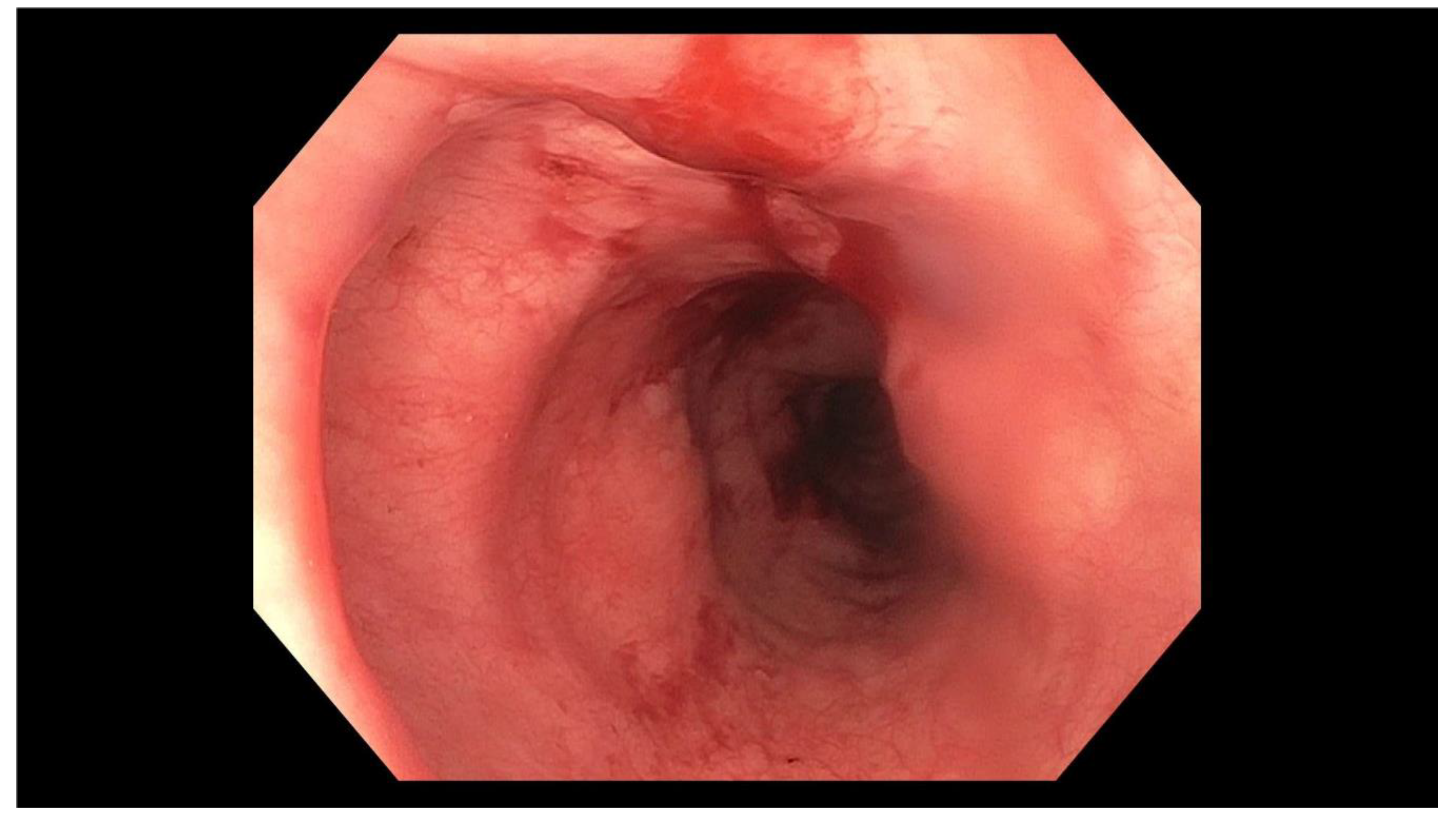 Geriatrics 05 00049 g002 Geriatrics 05 00049 g002