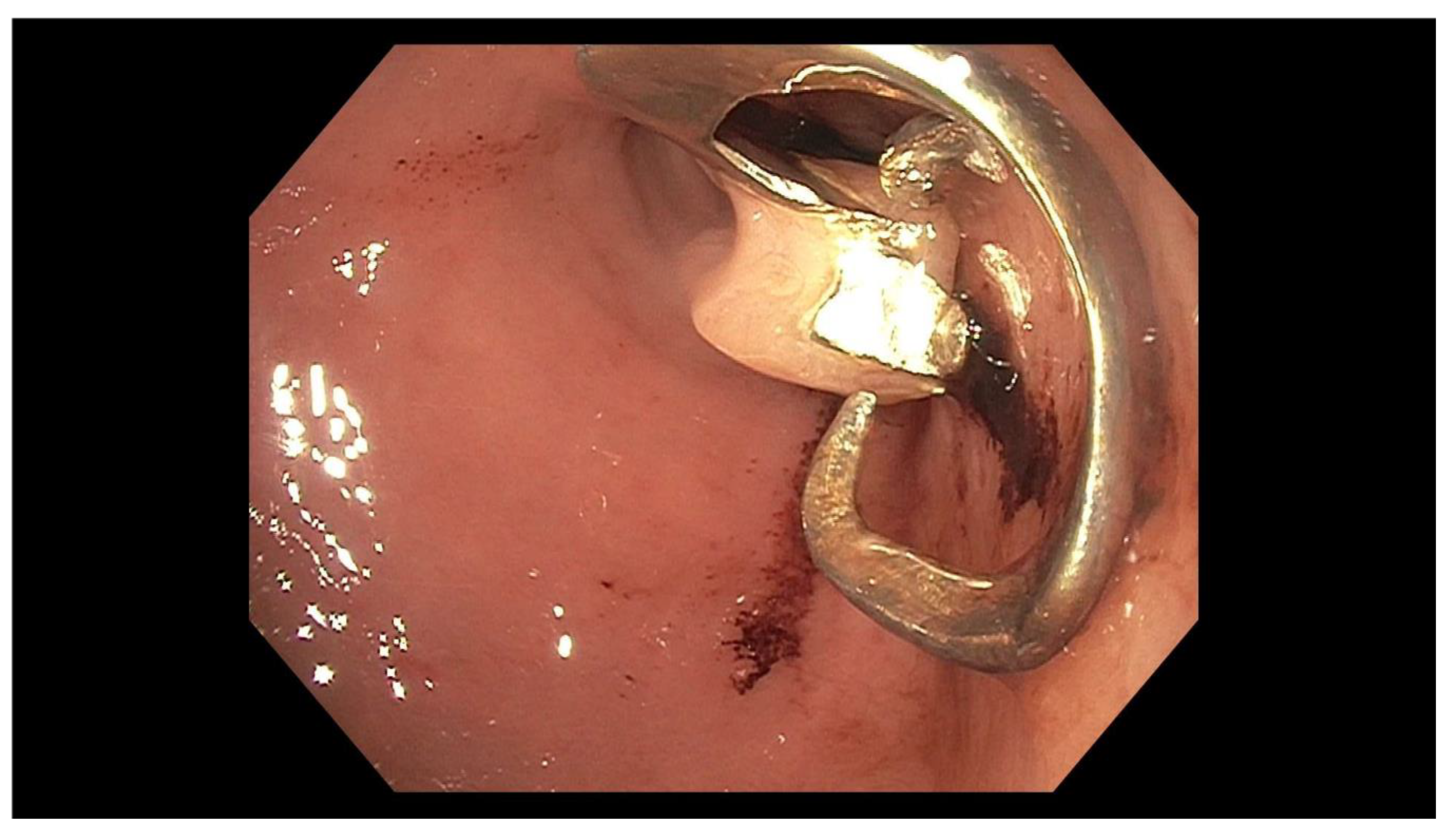 Geriatrics 05 00049 g004 Geriatrics 05 00049 g004