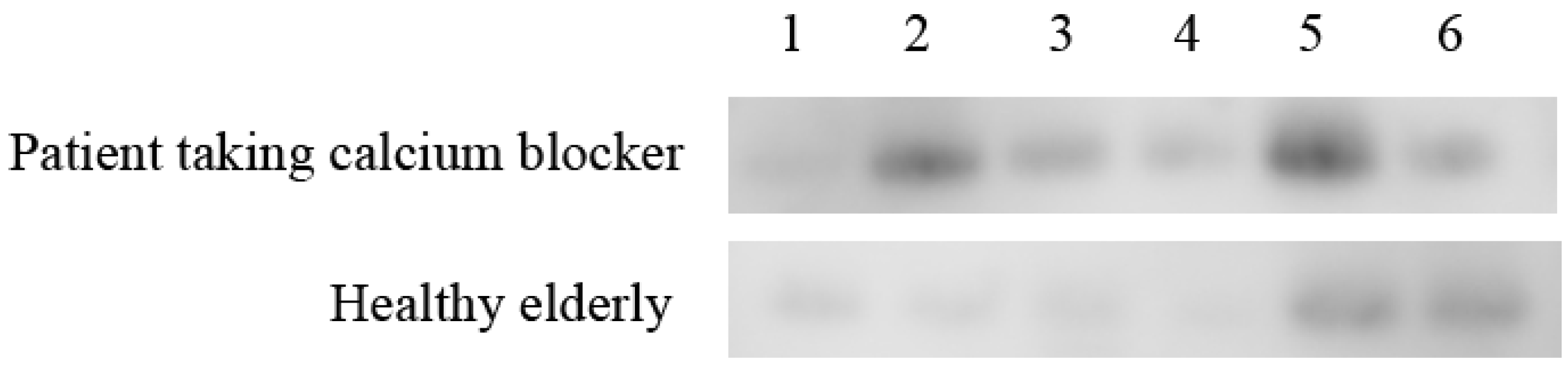 Geriatrics 05 00070 g004 Geriatrics 05 00070 g004
