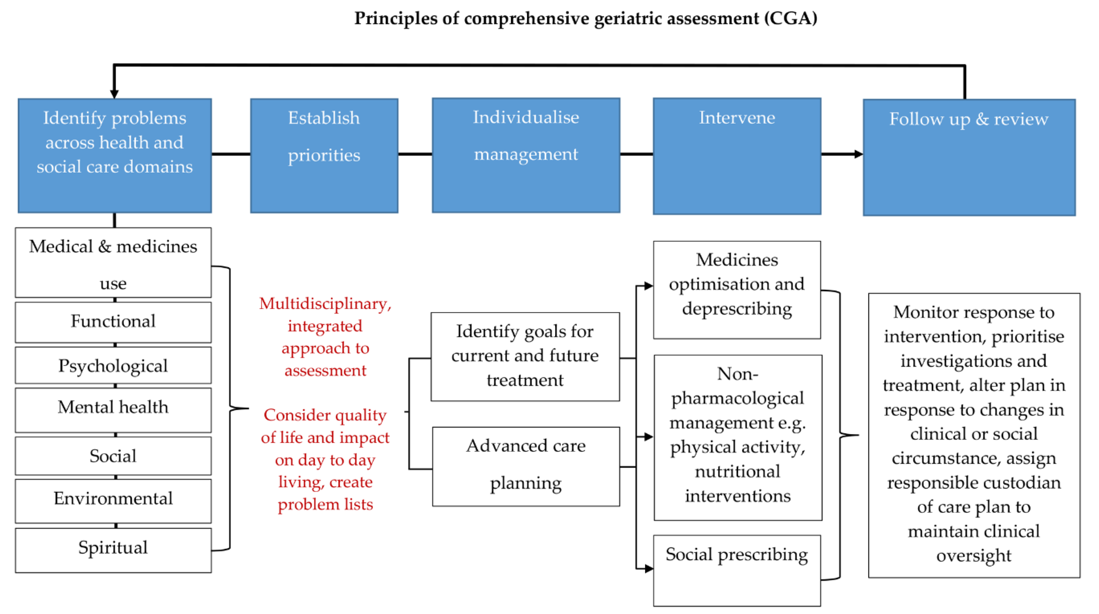 Geriatrics 05 00085 g001