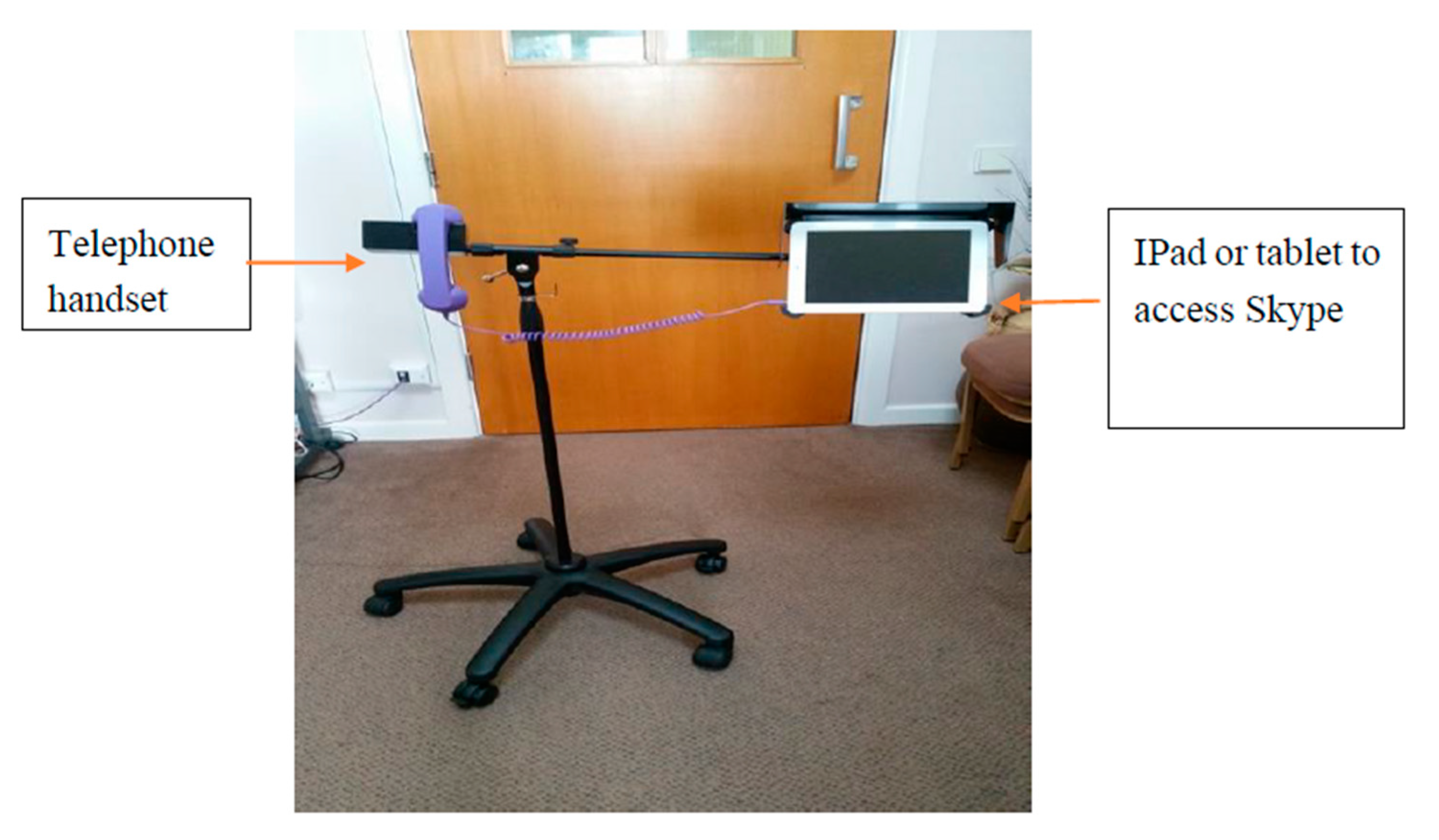 Geriatrics 05 00090 g001 Geriatrics 05 00090 g001