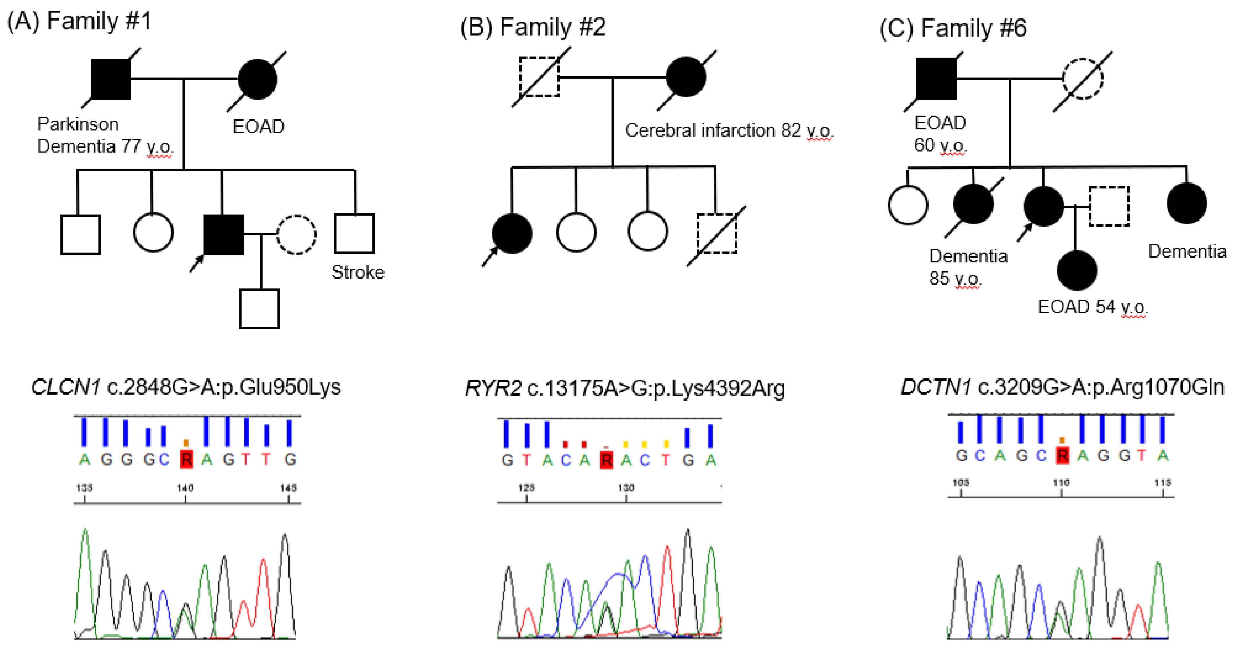Geriatrics 06 00014 g001