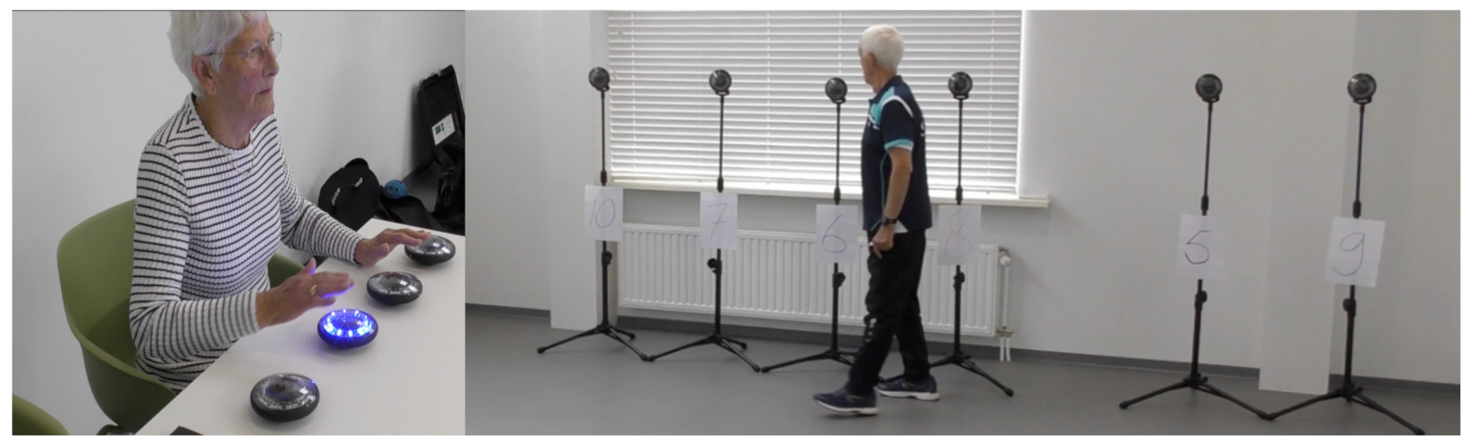 Geriatrics 06 00066 g003 Geriatrics 06 00066 g003