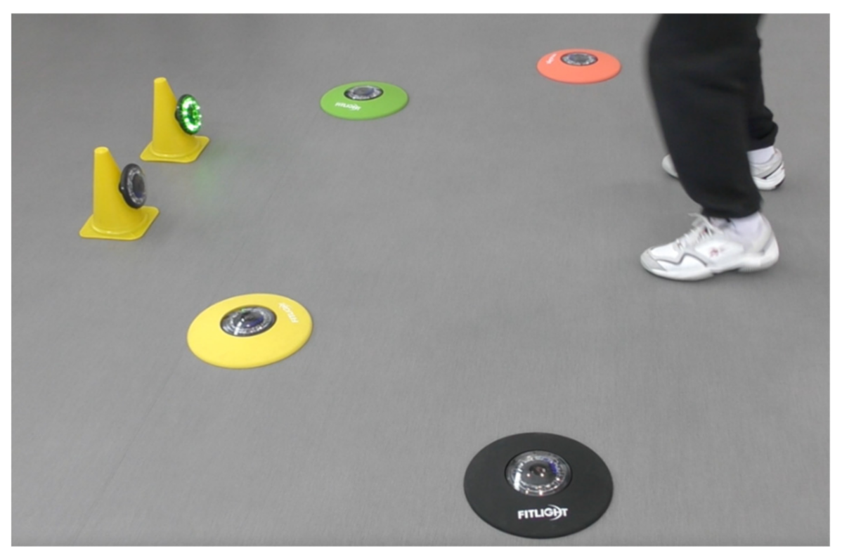 Geriatrics 06 00066 g004 Geriatrics 06 00066 g004