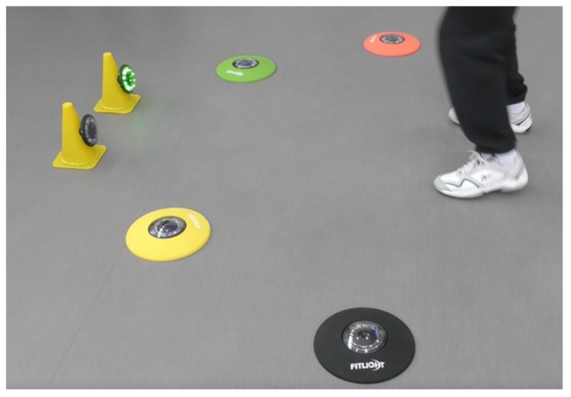 Geriatrics 06 00066 g0a3 Geriatrics 06 00066 g0a3