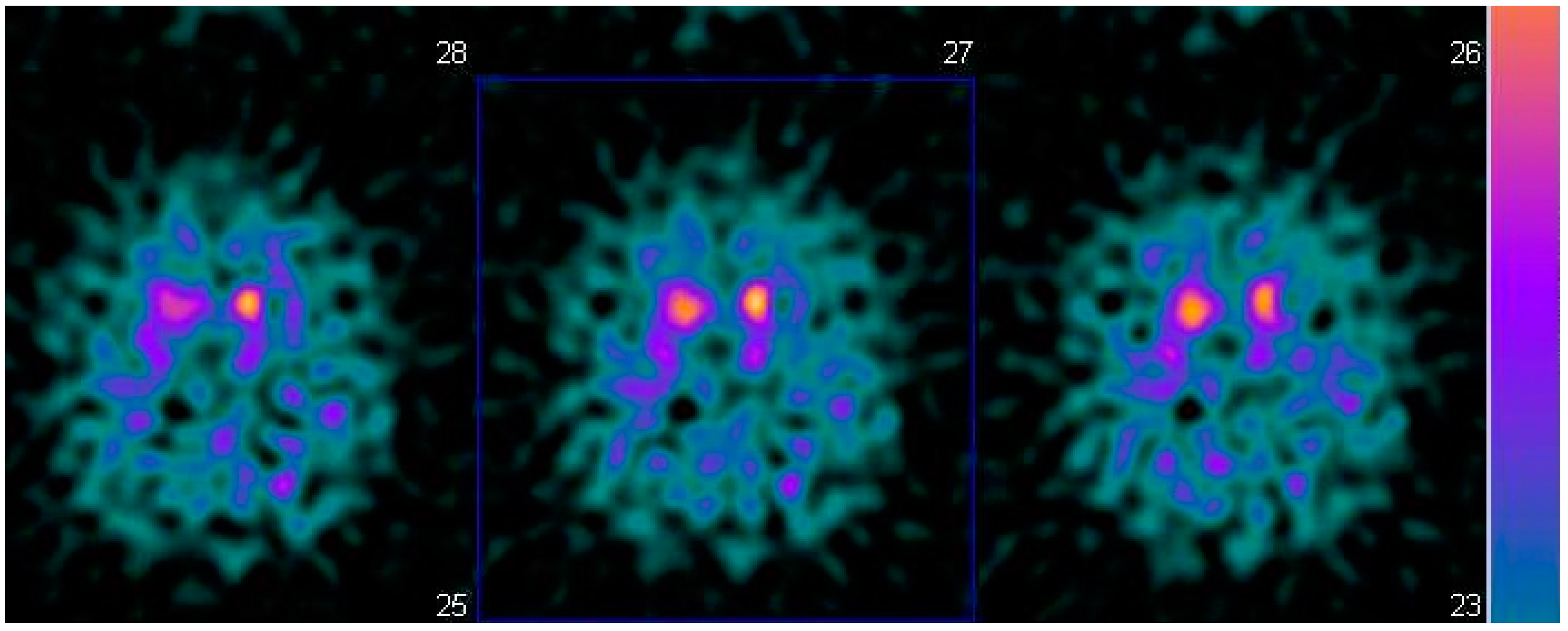 Geriatrics 06 00110 g001 550