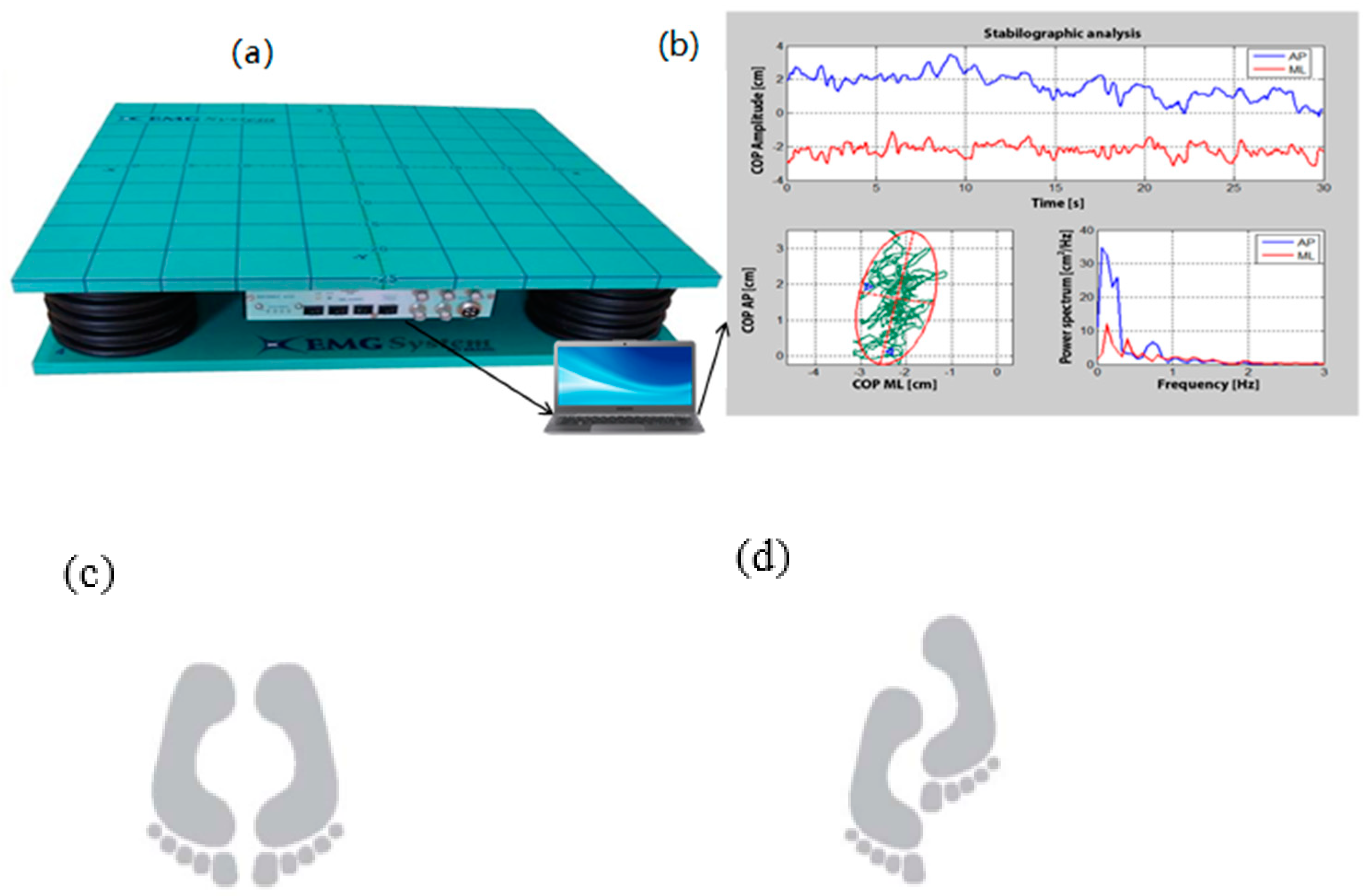 Geriatrics 07 00010 g001 Geriatrics 07 00010 g001