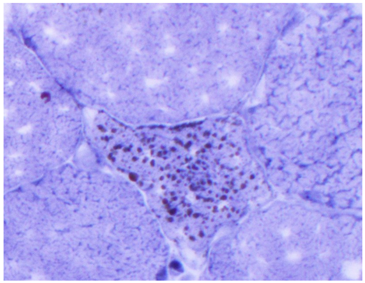 Geriatrics 07 00033 g004 Geriatrics 07 00033 g004