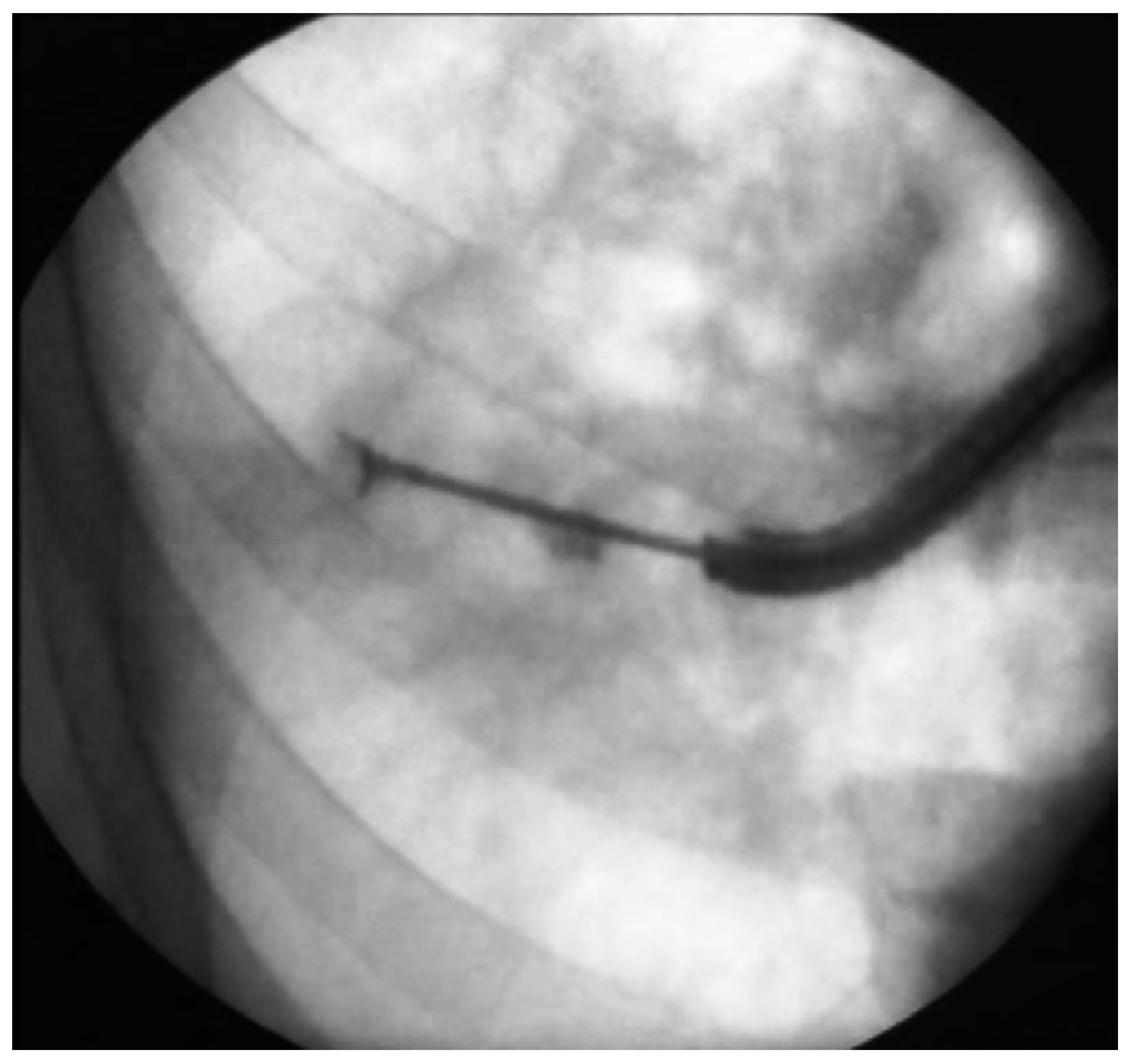 Geriatrics 07 00034 g001 Geriatrics 07 00034 g001