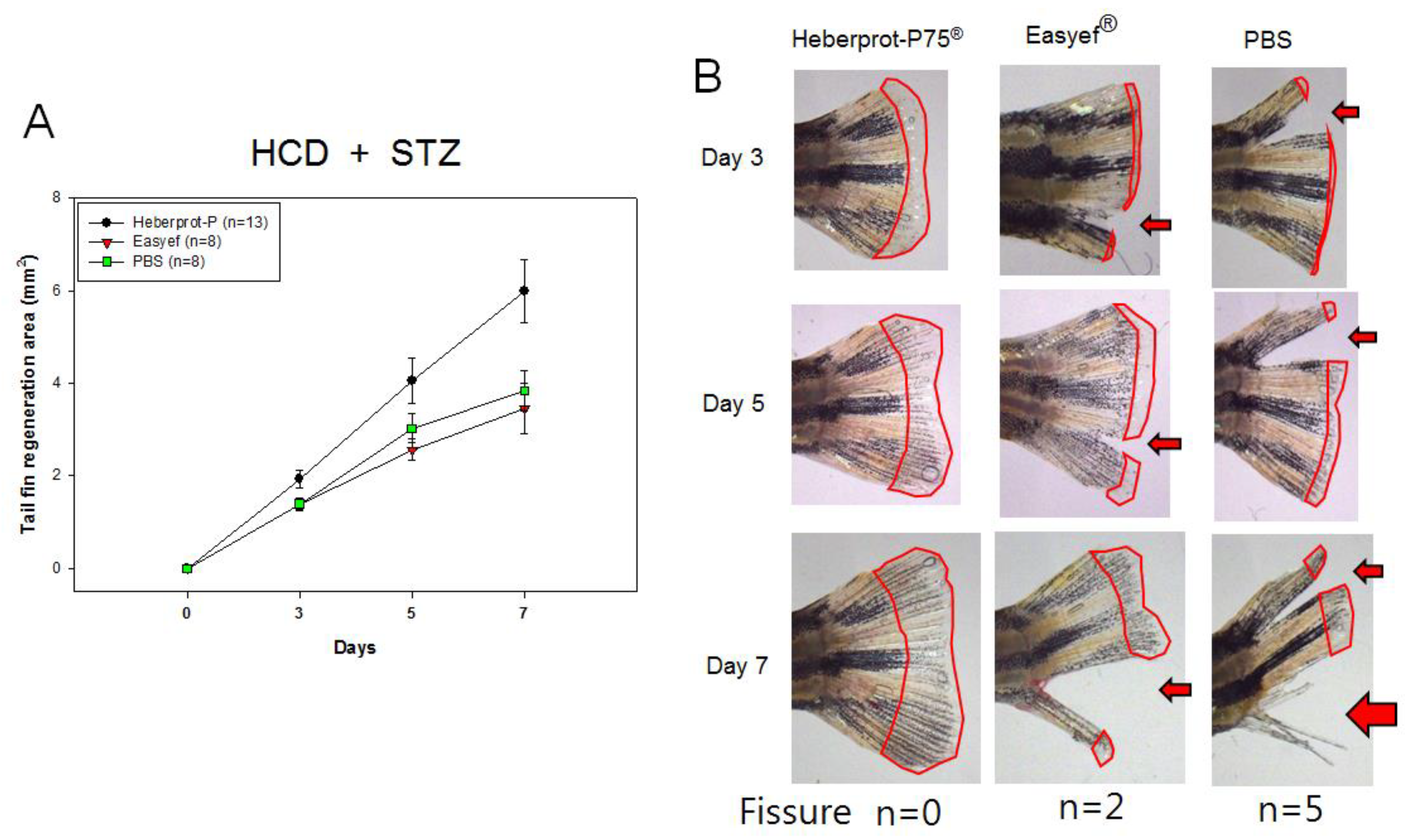 Geriatrics 07 00045 g008 550