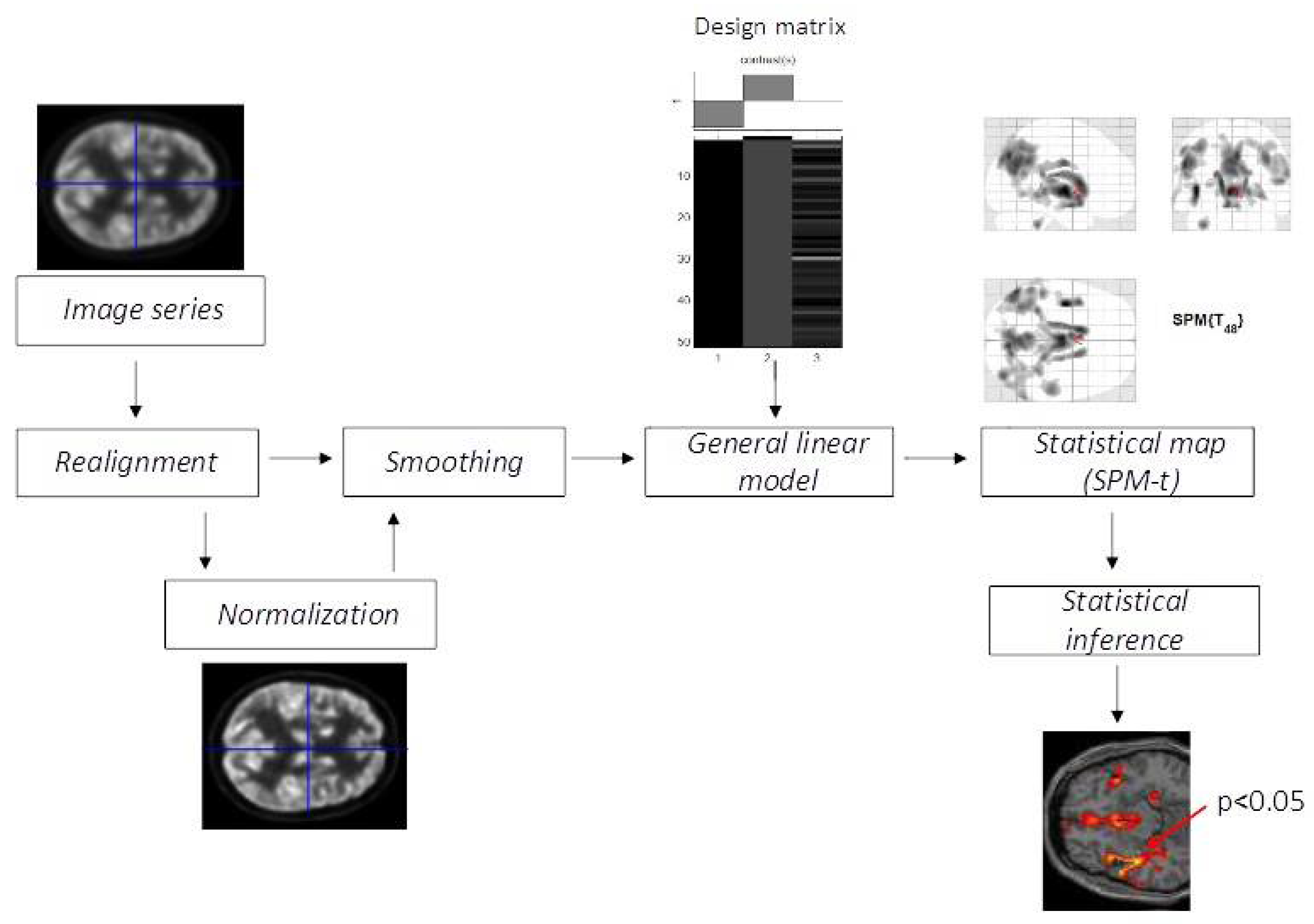 Taxonomy of Speech Disorders (adapted from | Download