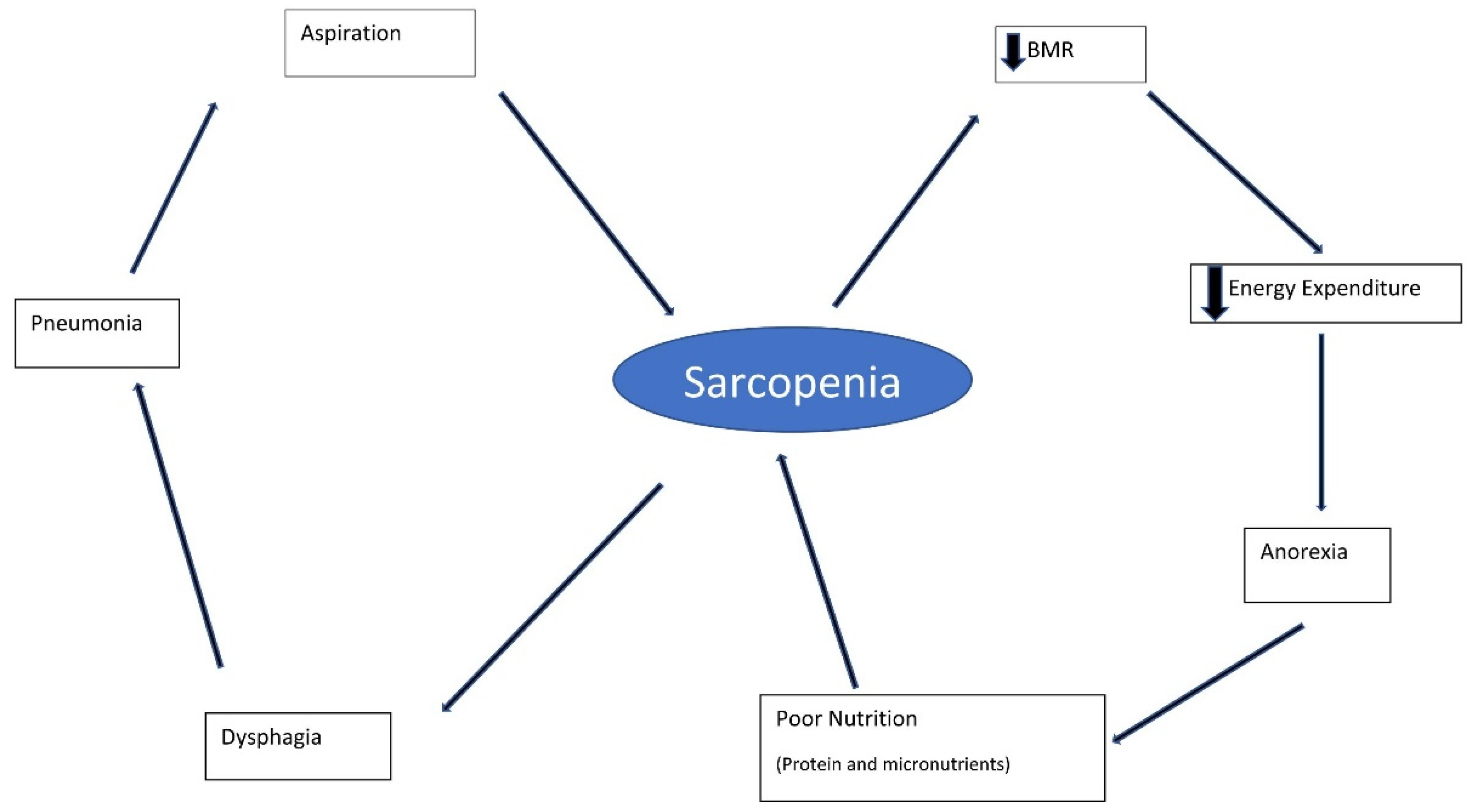 Geriatrics 07 00115 g002 Geriatrics 07 00115 g002