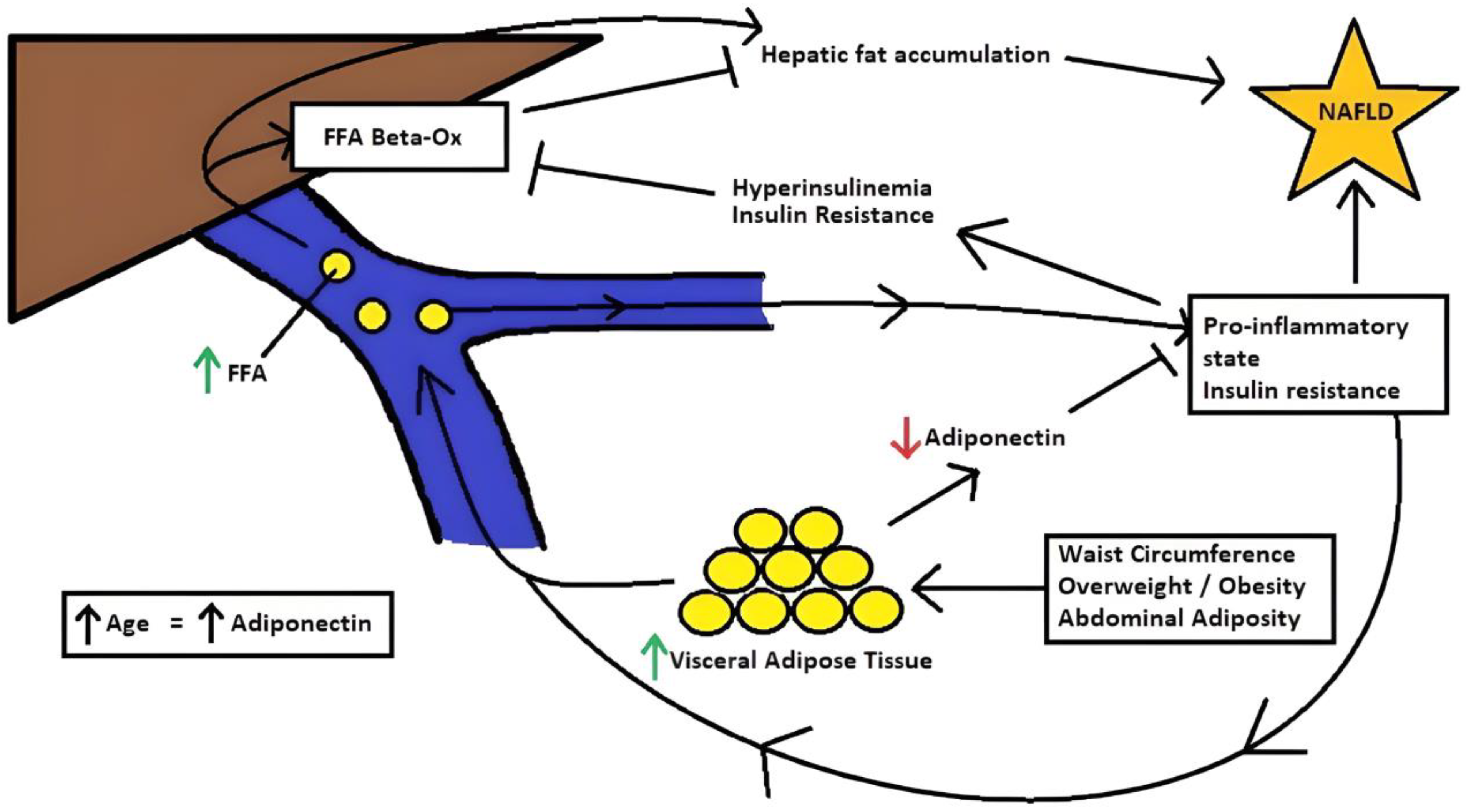 Geriatrics 08 00042 g002 Geriatrics 08 00042 g002