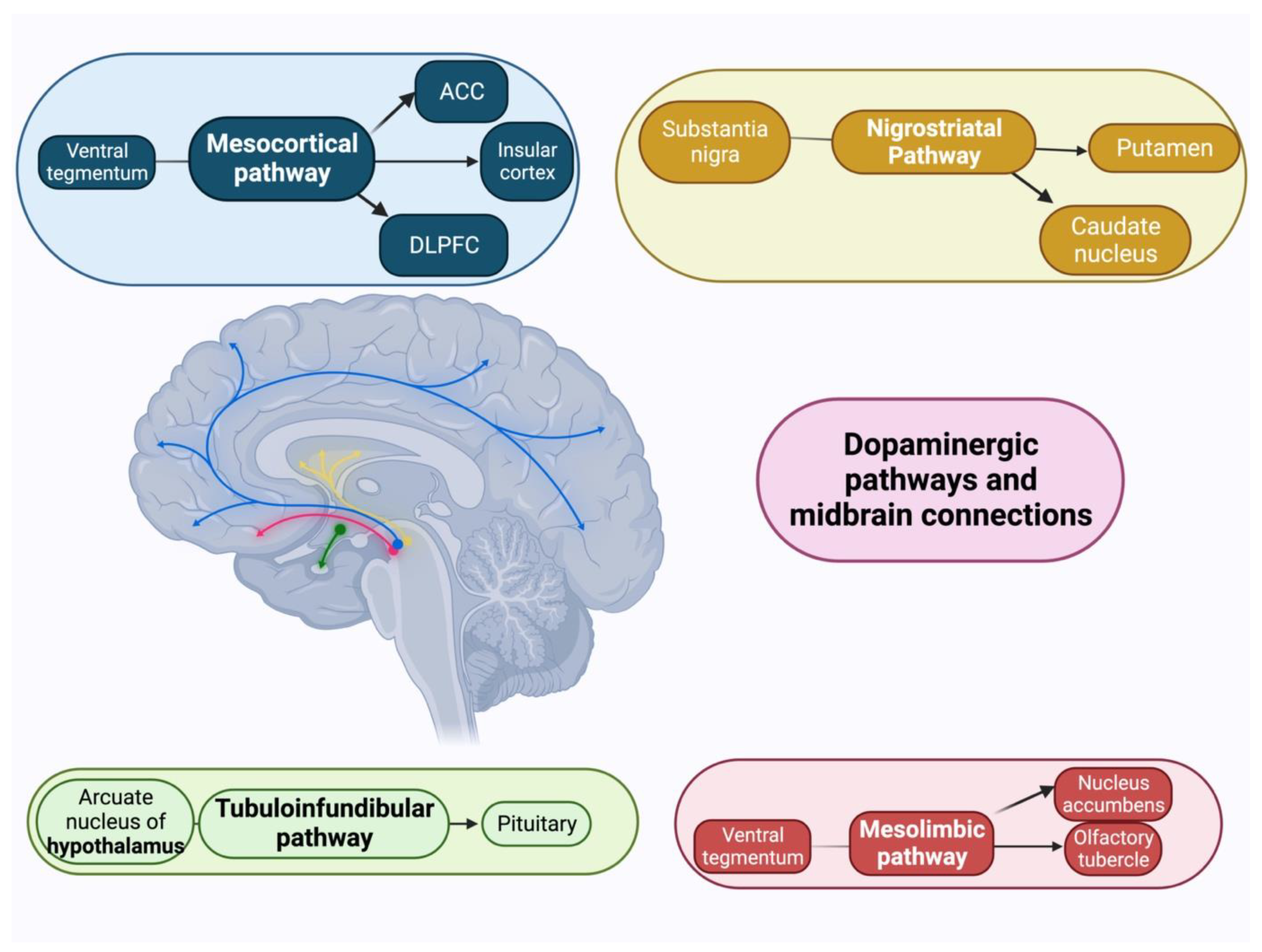 Geriatrics 08 00075 g002 Geriatrics 08 00075 g002