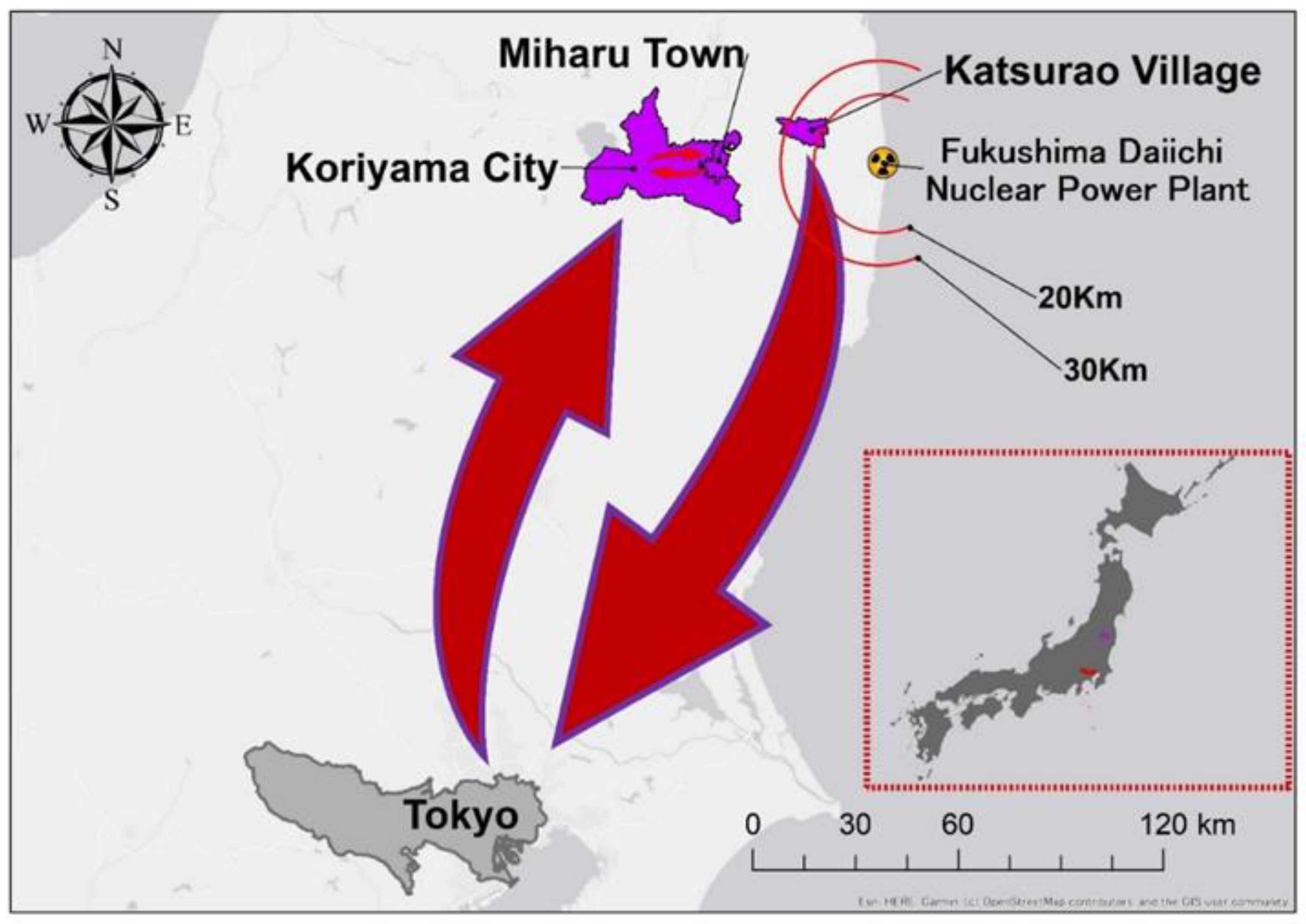 Geriatrics 08 00087 g002